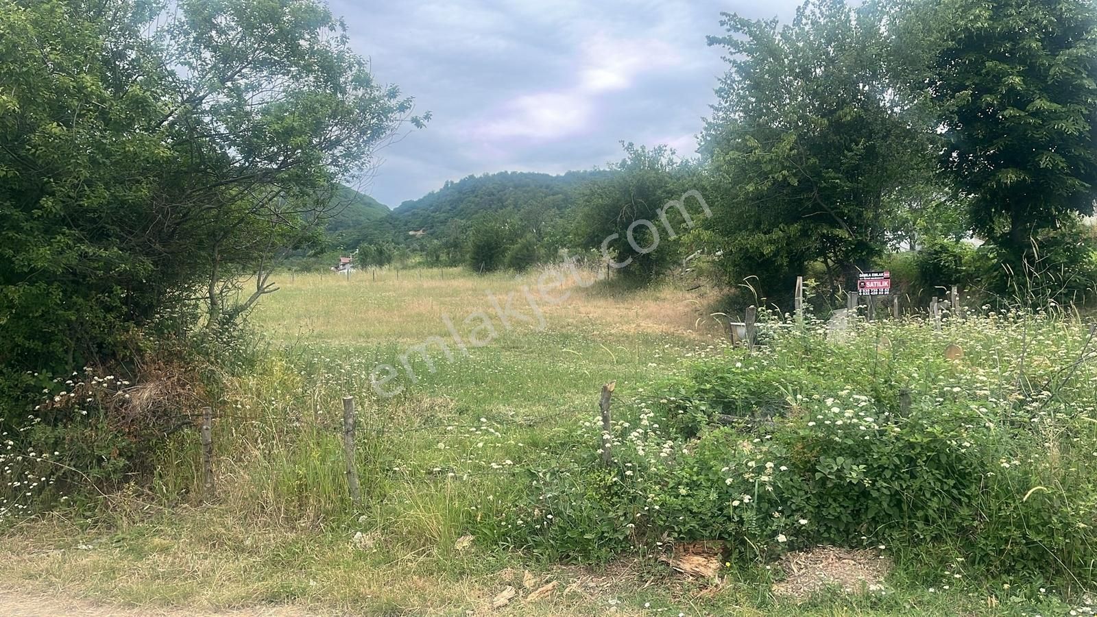 Kurugökçe Resmi Yola Cepheli 1860 M² Tarla Satılık Fırsat! - Görsel 2