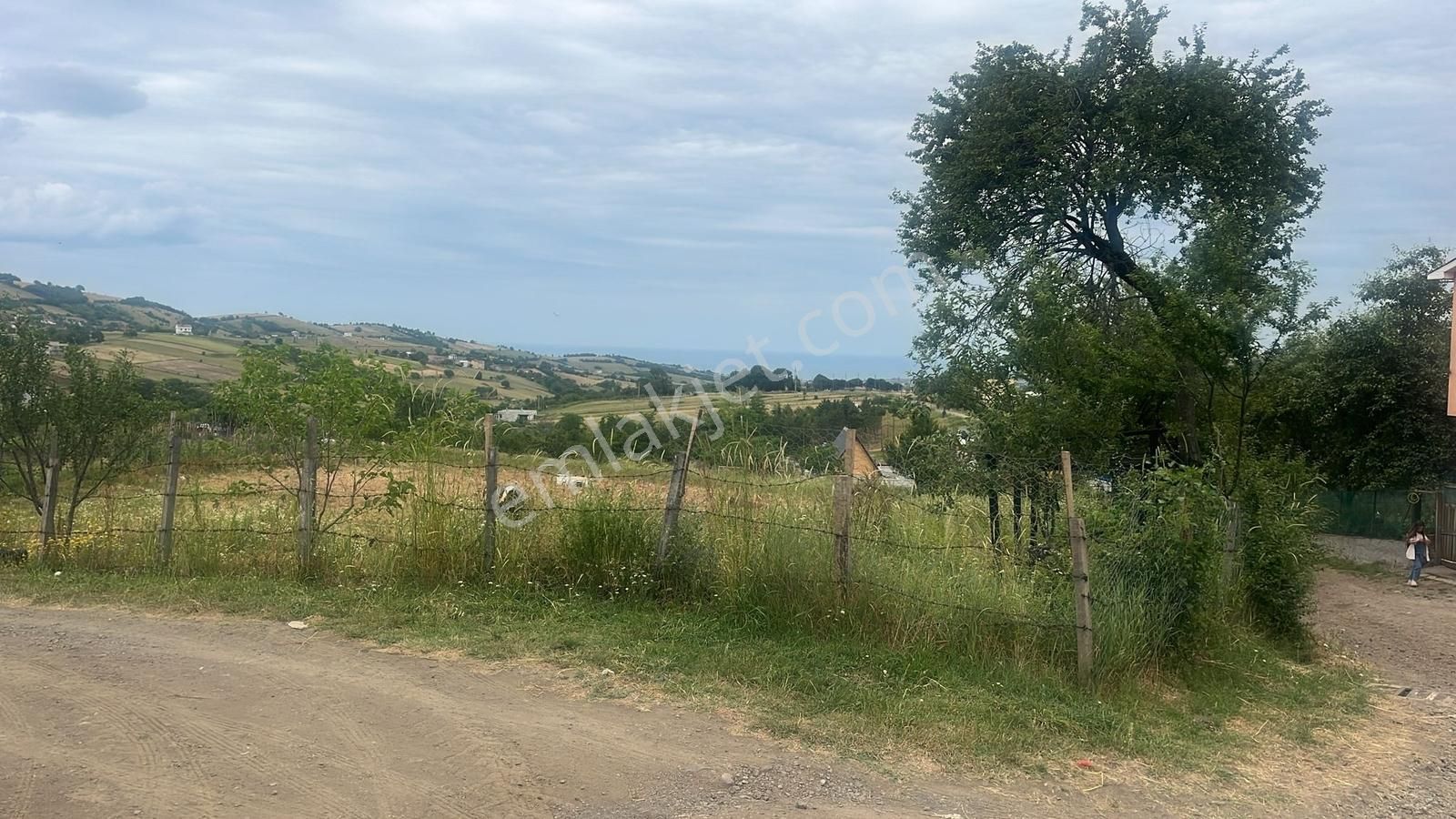 Kurugökçe Resmi Yola Cepheli 1860 M² Tarla Satılık Fırsat!