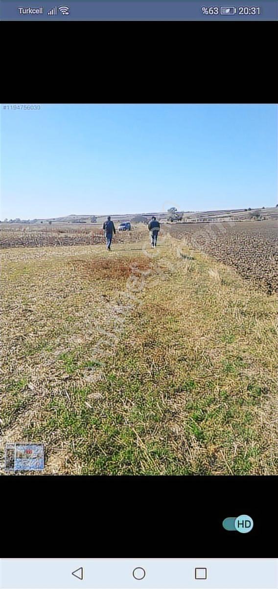 Tekırdag Saray Demirlerde De Satılık 476 M2 Tek Tapu Tarla - Görsel 6