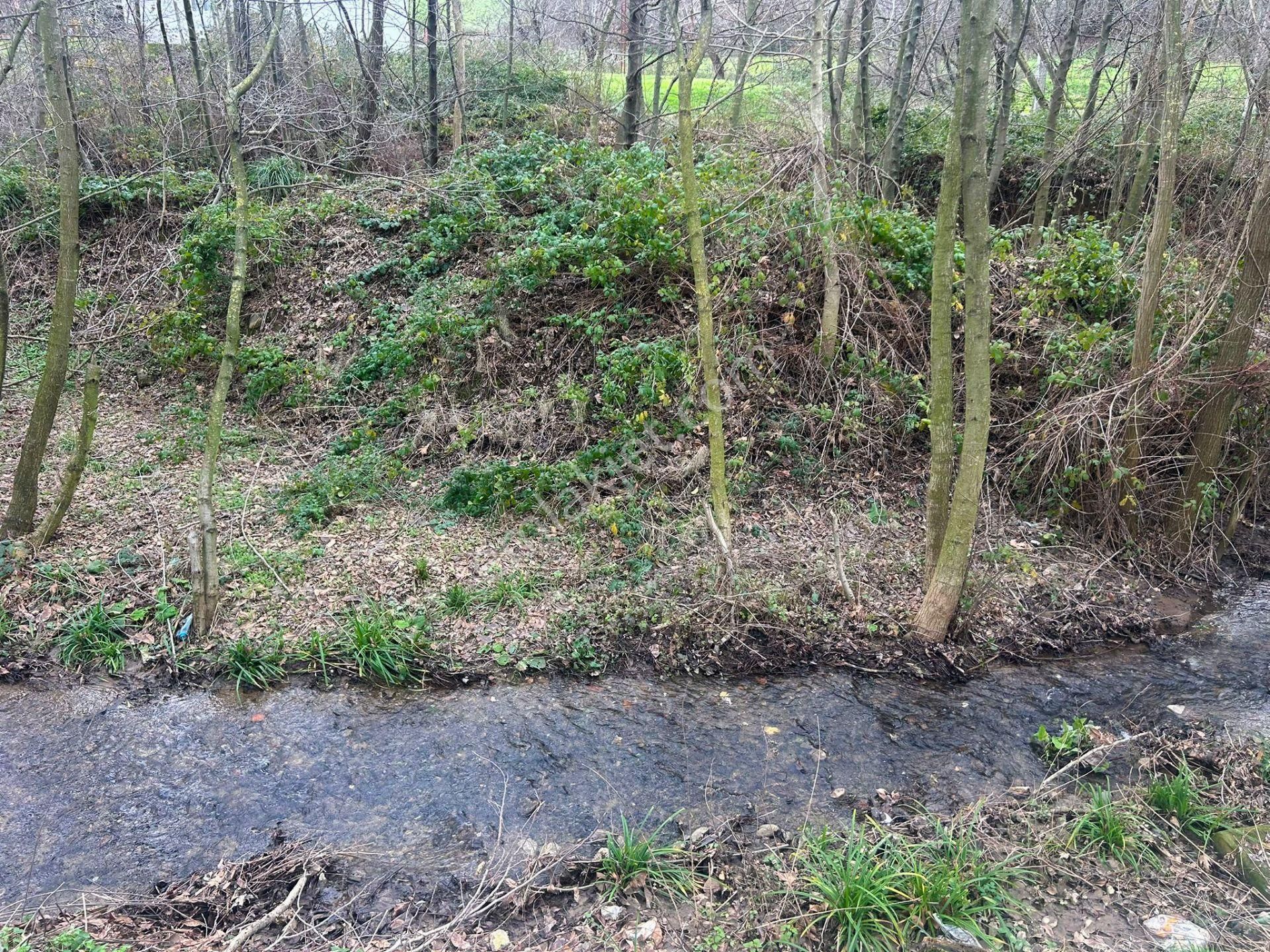 Uzmanlar'dan Karamürsel Kızderbent Dere Kenarı Satılık 496 M² Bahçe