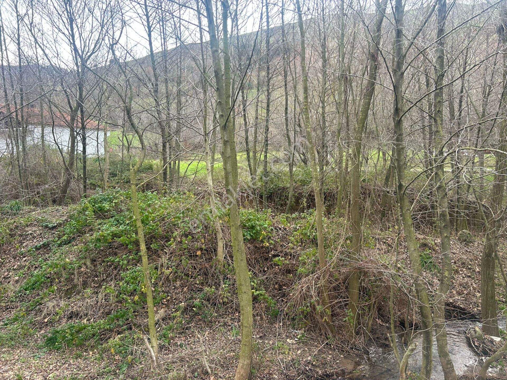 Uzmanlar'dan Karamürsel Kızderbent Dere Kenarı Satılık 496 M² Bahçe - Görsel 4