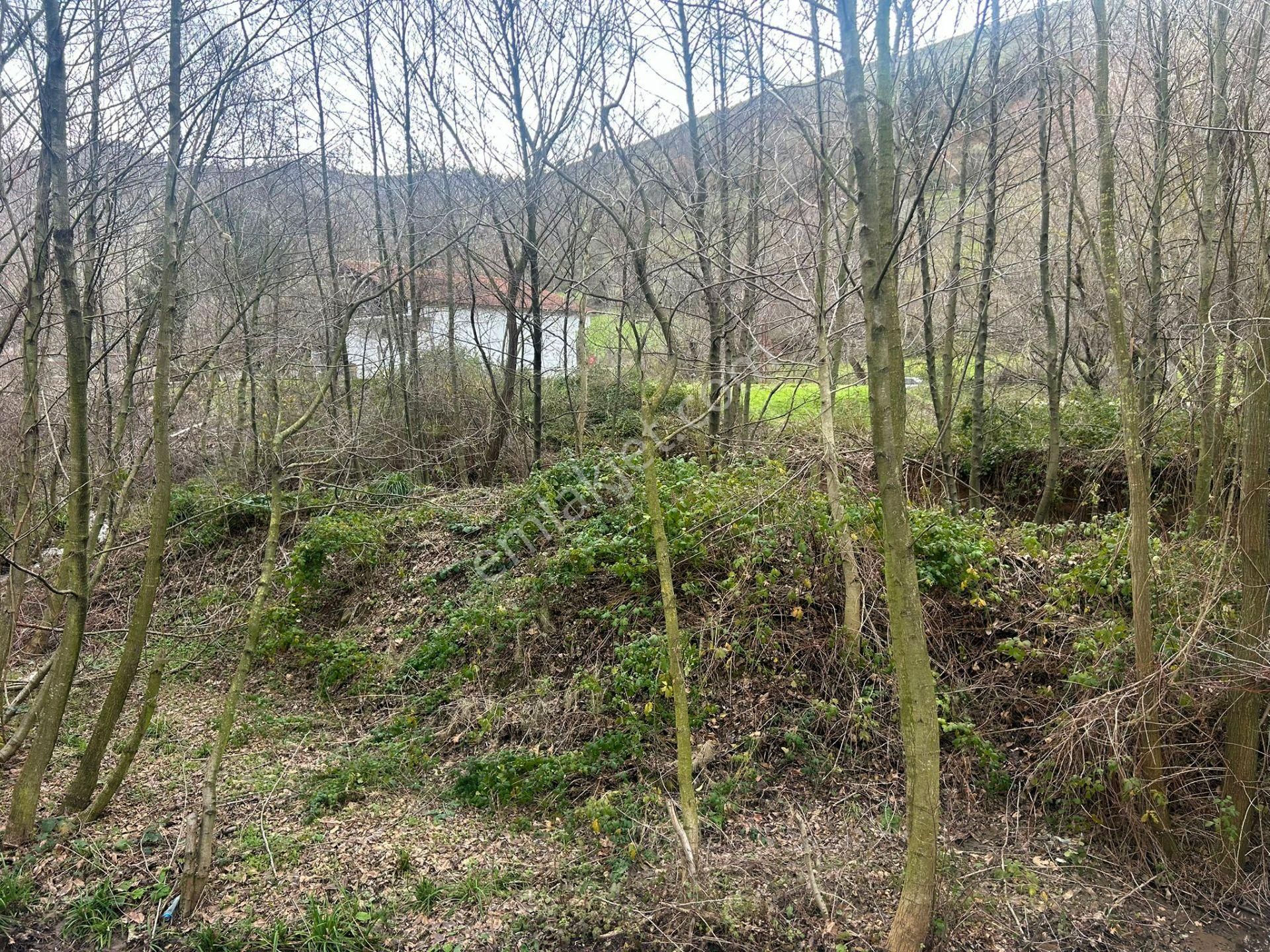 Uzmanlar'dan Karamürsel Kızderbent Dere Kenarı Satılık 496 M² Bahçe - Görsel 3