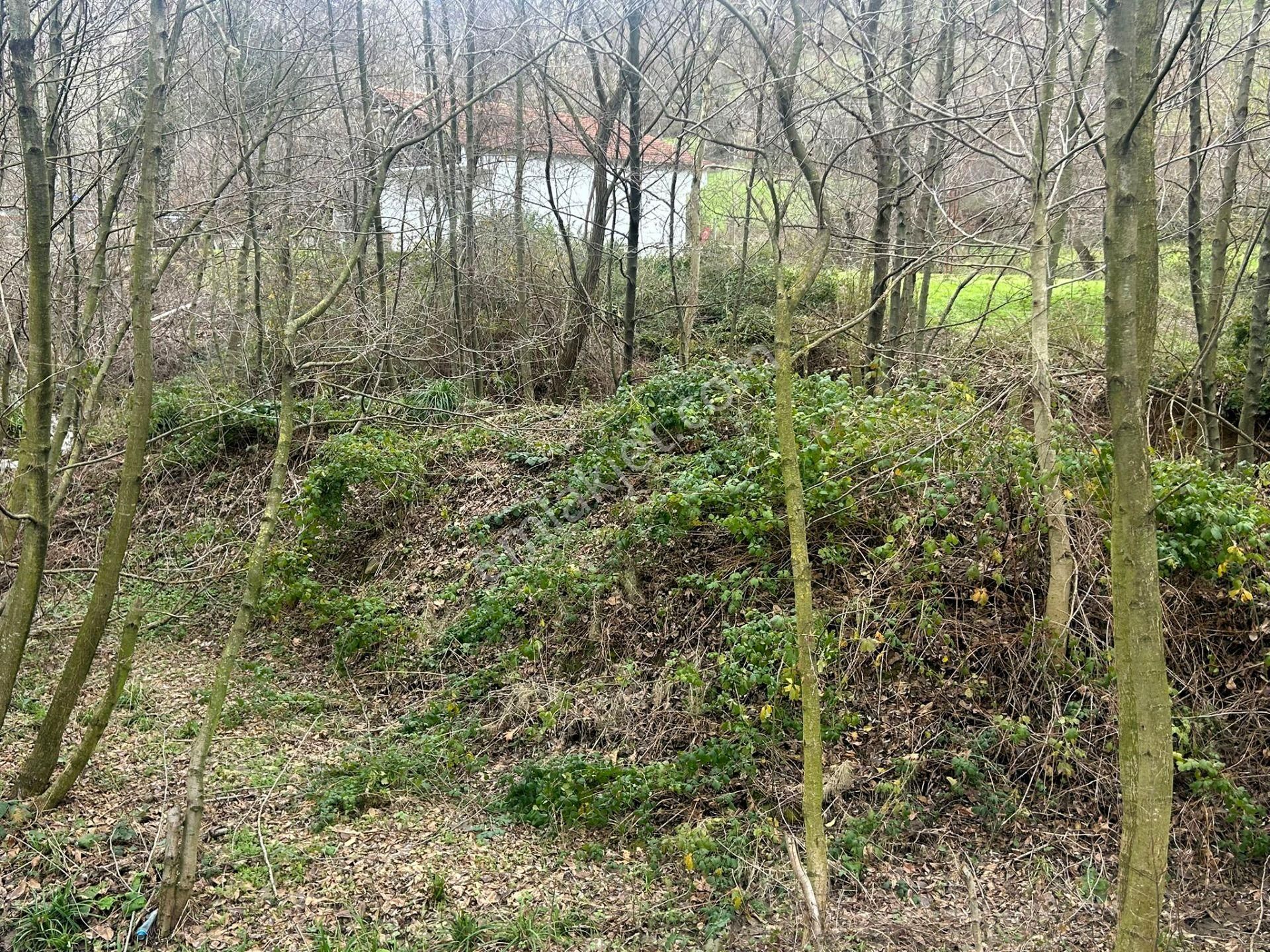 Uzmanlar'dan Karamürsel Kızderbent Dere Kenarı Satılık 496 M² Bahçe - Görsel 2