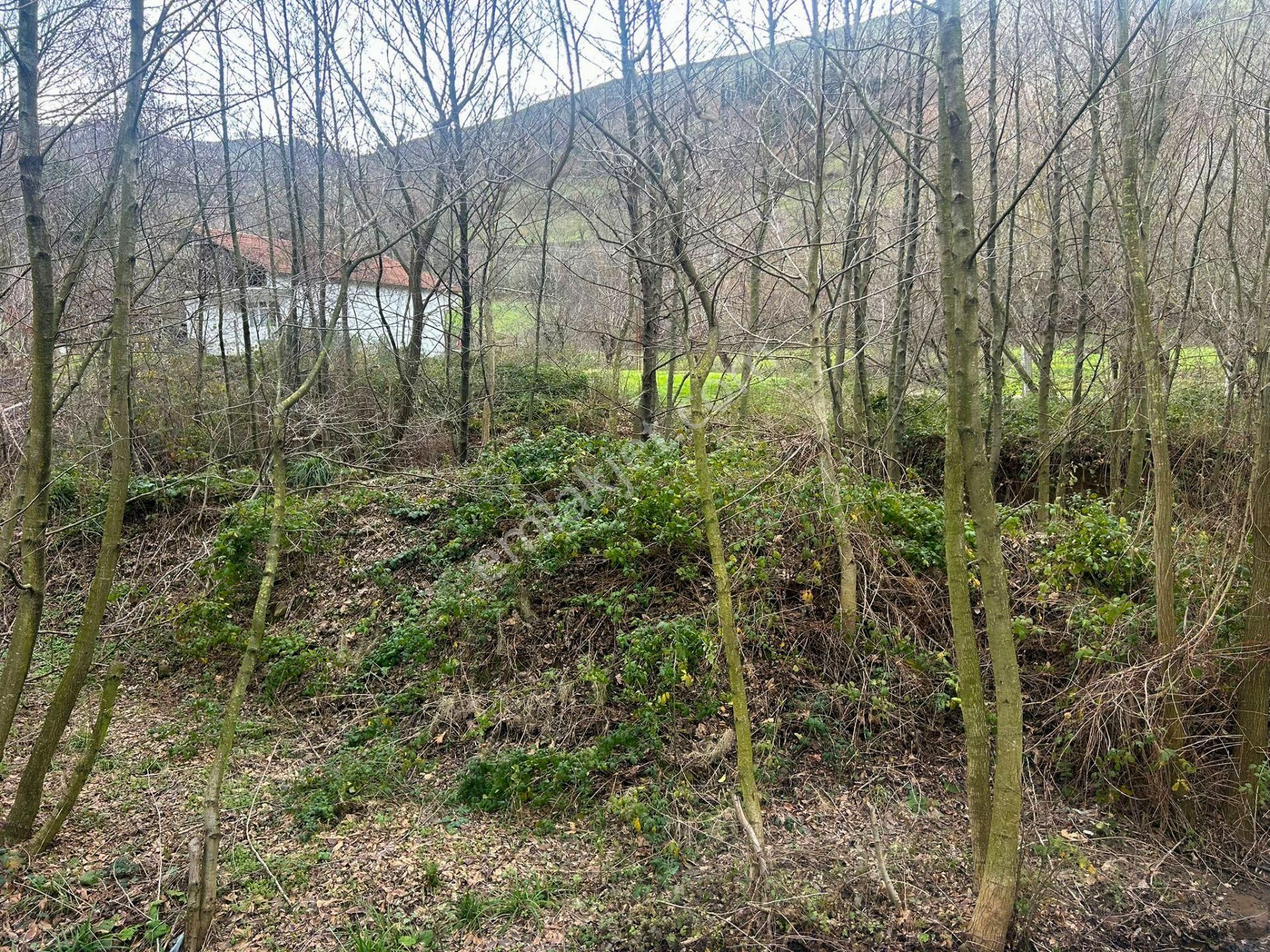 Uzmanlar'dan Karamürsel Kızderbent Dere Kenarı Satılık 496 M² Bahçe - Görsel 5