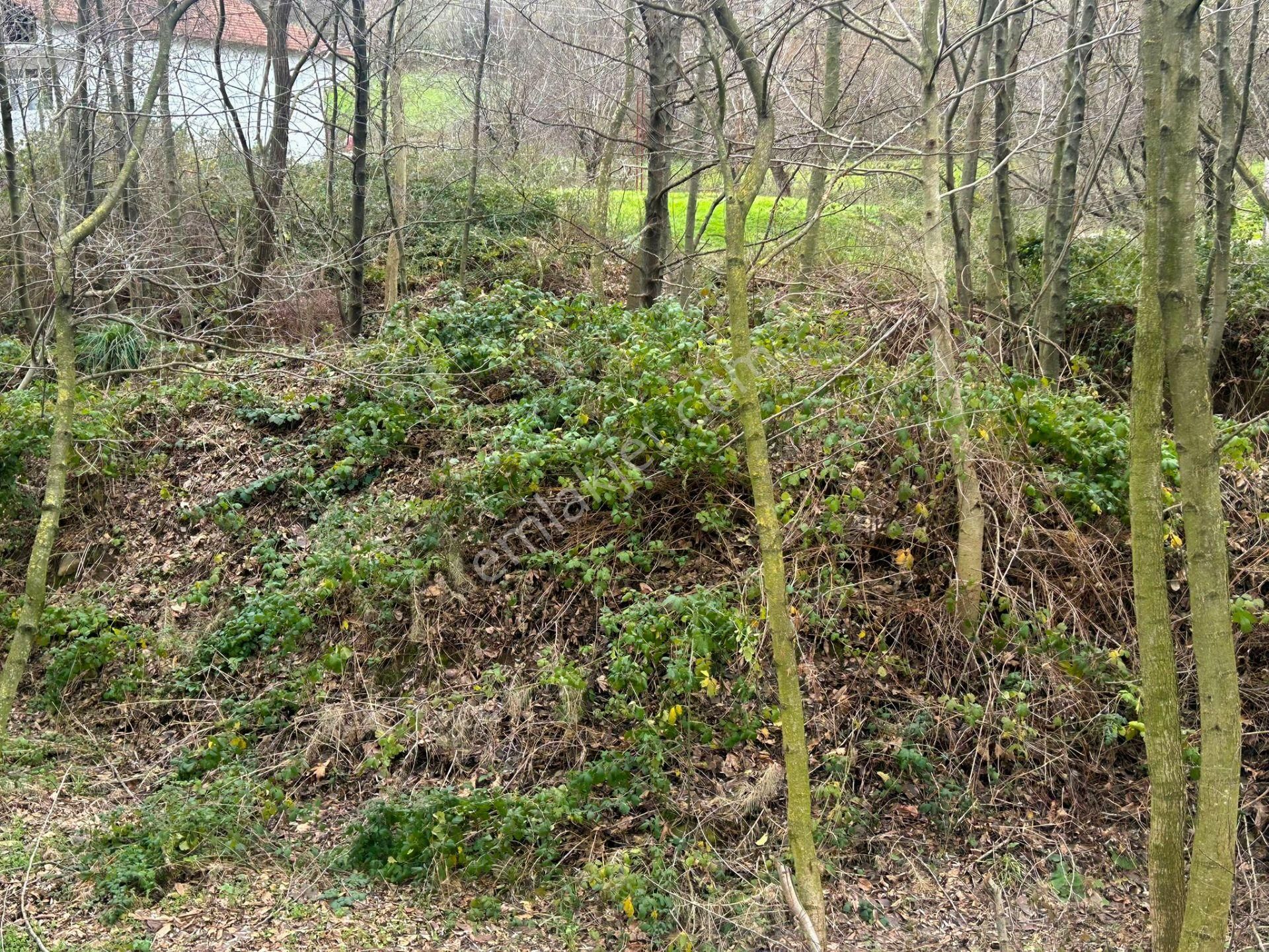 Uzmanlar'dan Karamürsel Kızderbent Dere Kenarı Satılık 496 M² Bahçe - Görsel 6