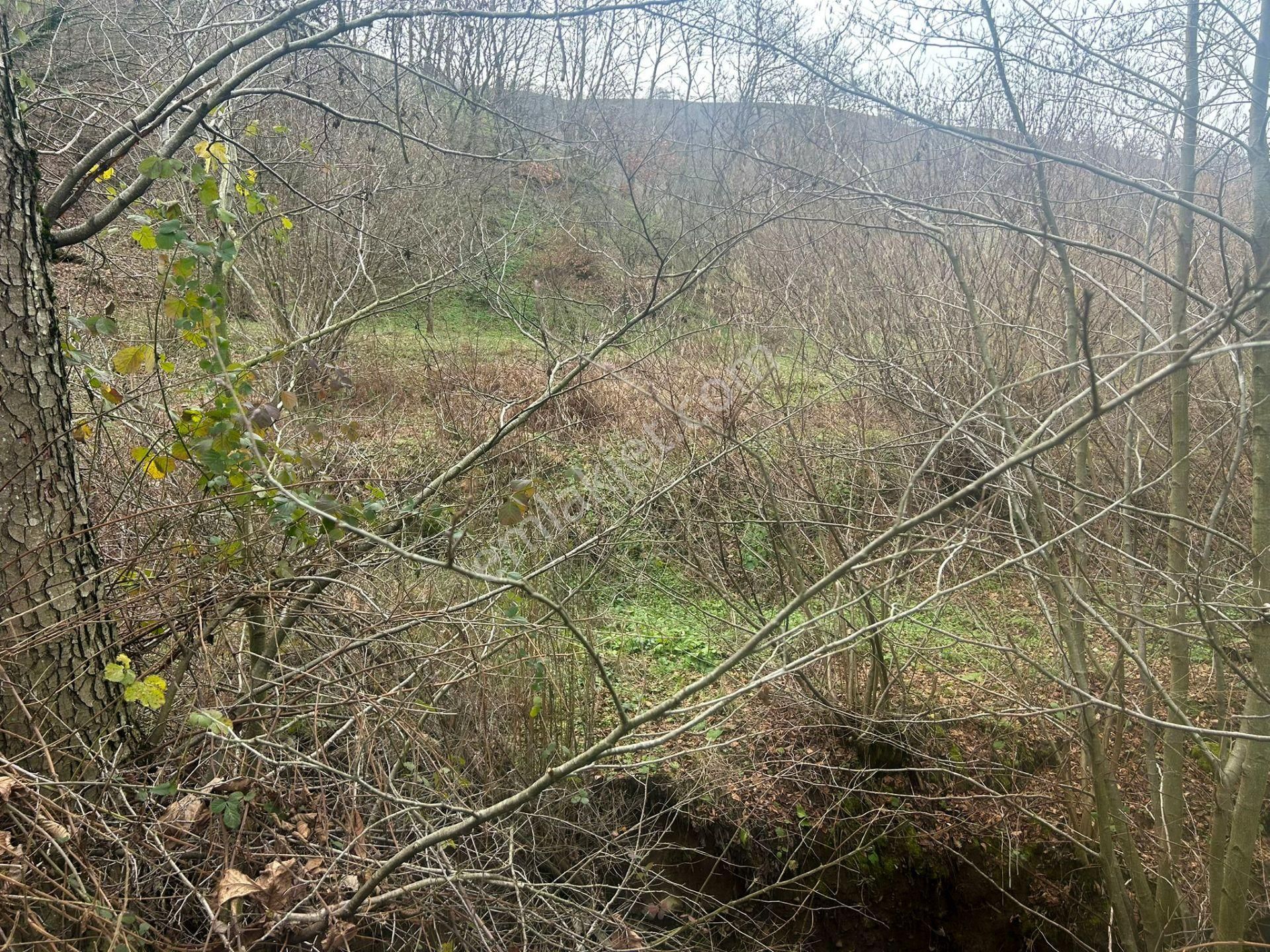 Kocaeli Karamürsel Kızderbent Satılık %5 İmarlı 327 M2 Tarla - Görsel 9