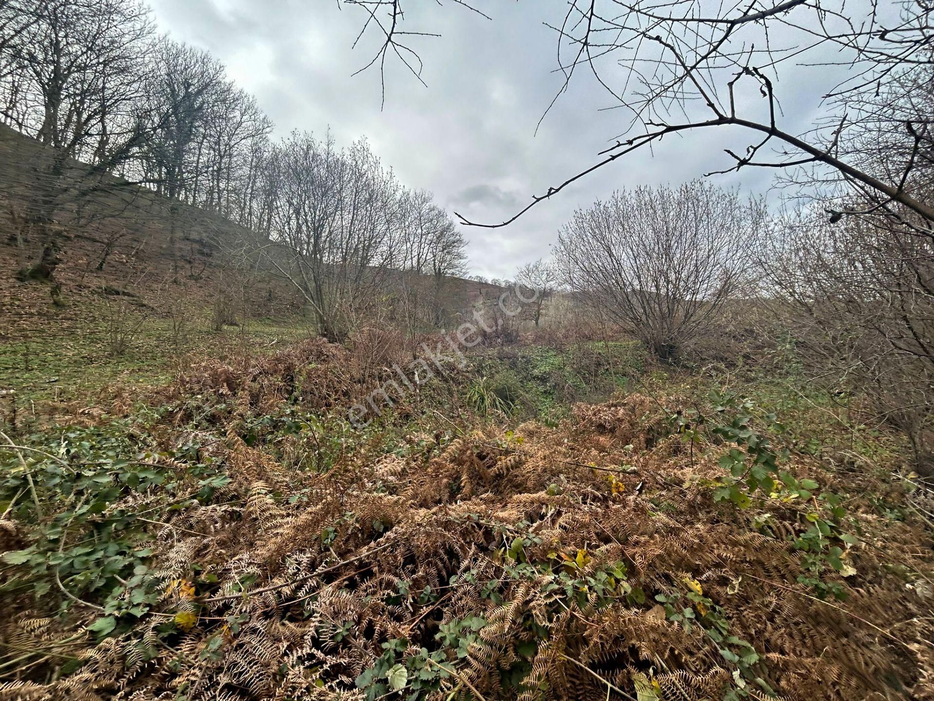 Kocaeli Karamürsel Kızderbent Satılık %5 İmarlı 327 M2 Tarla