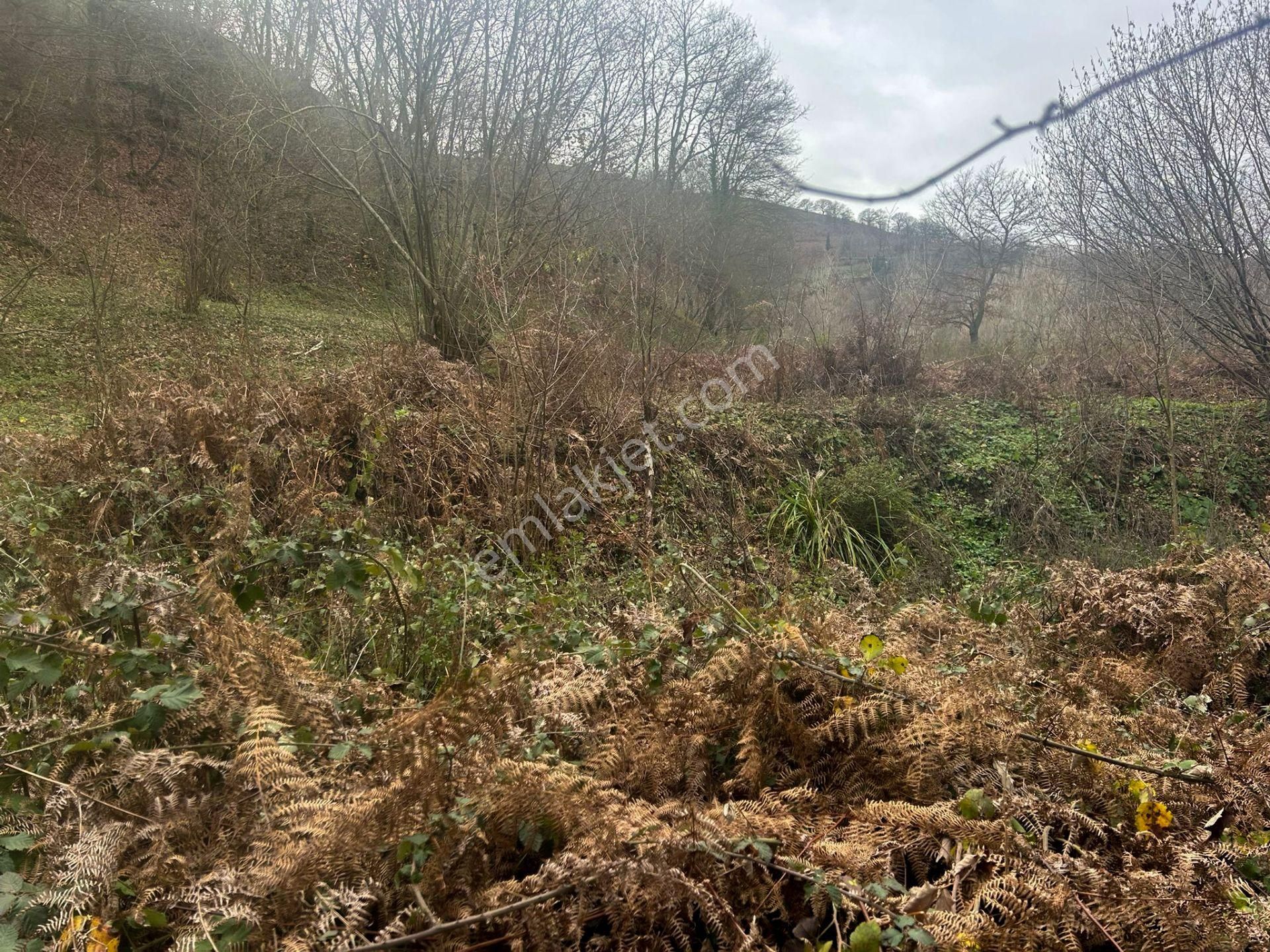 Kocaeli Karamürsel Kızderbent Satılık %5 İmarlı 327 M2 Tarla - Görsel 6