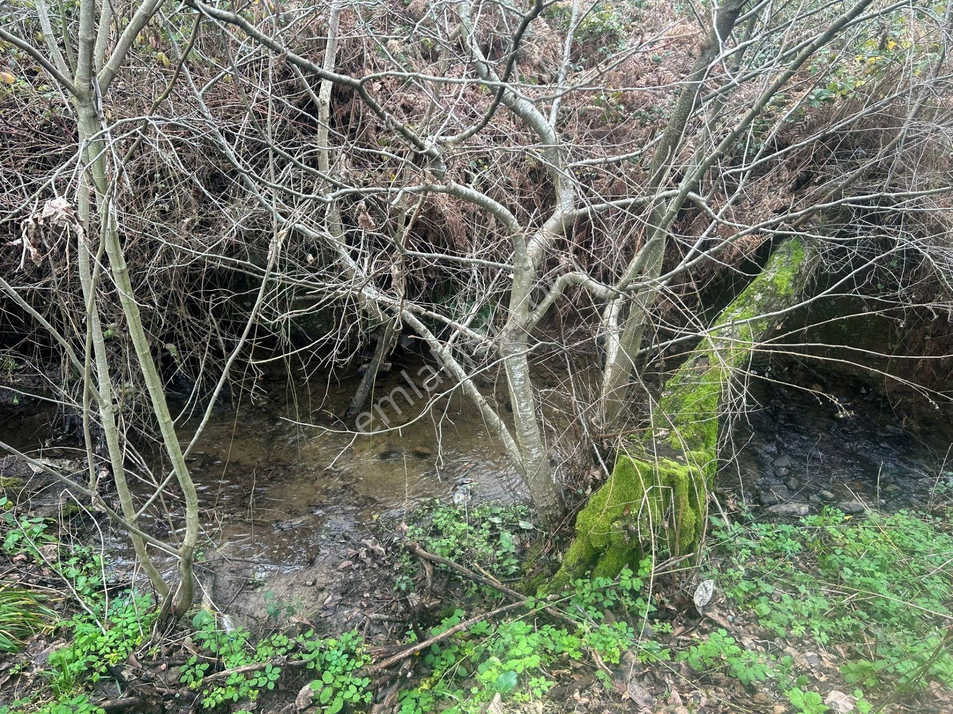 Kocaeli Karamürsel Kızderbent Satılık %5 İmarlı 327 M2 Tarla - Görsel 11