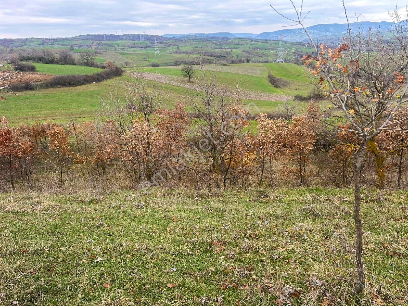 Karamürsel Kızderbent Yatırıma Uygun 3099 M2 %5 İmarlı Satılık Tarla - Görsel 3