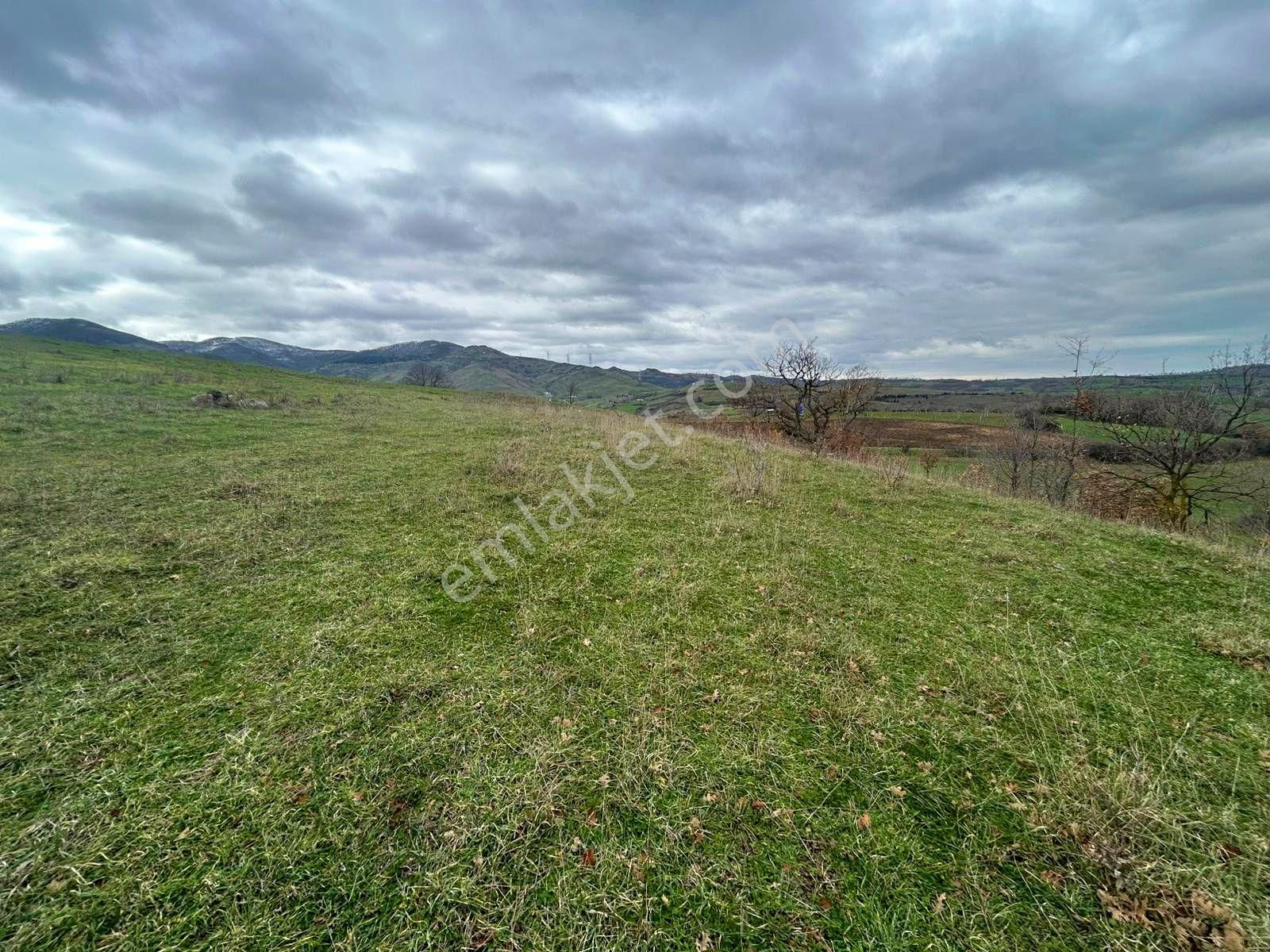 Karamürsel Kızderbent Yatırıma Uygun 3099 M2 %5 İmarlı Satılık Tarla - Görsel 7