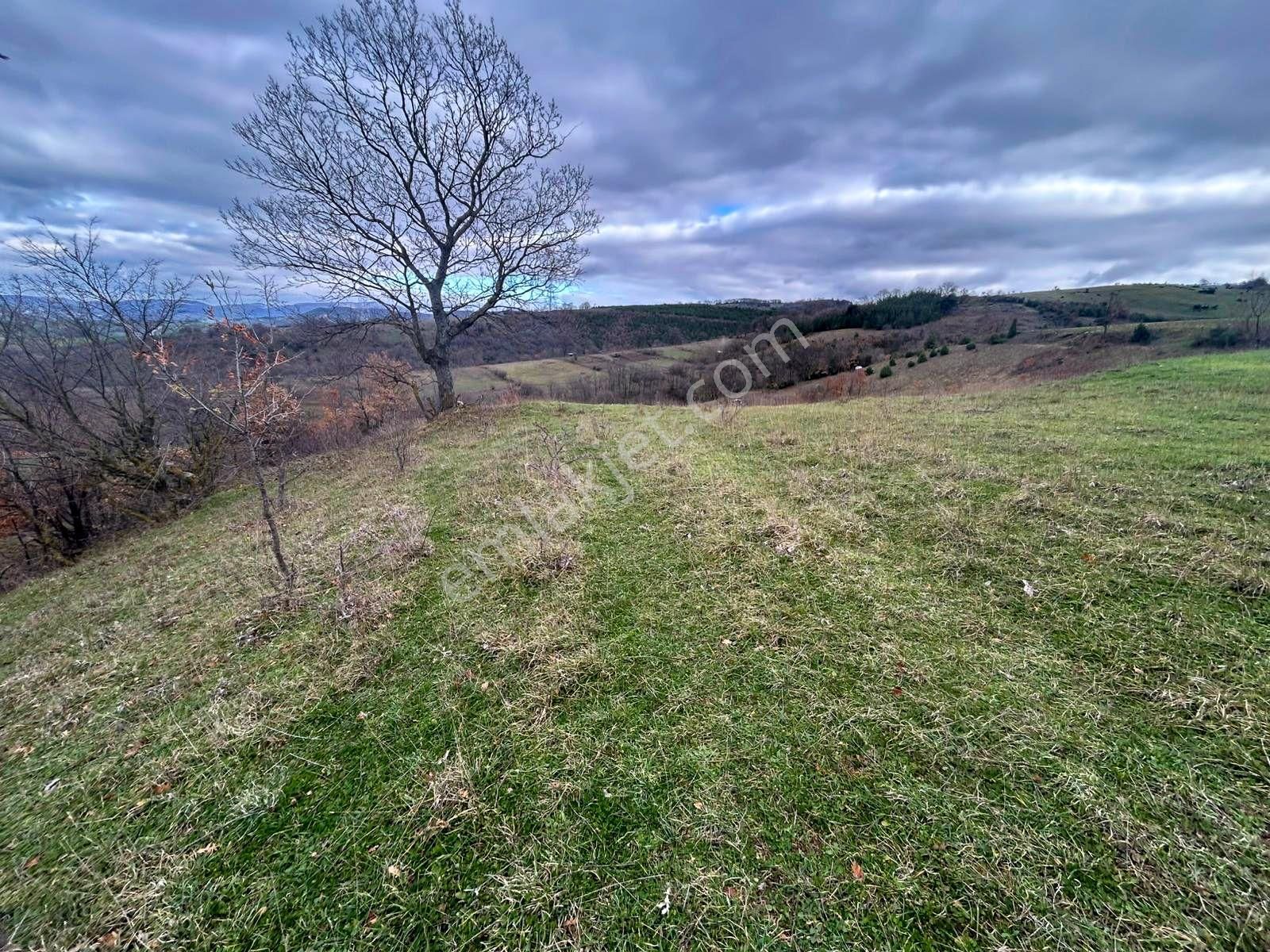 Karamürsel Kızderbent Yatırıma Uygun 3099 M2 %5 İmarlı Satılık Tarla - Görsel 4