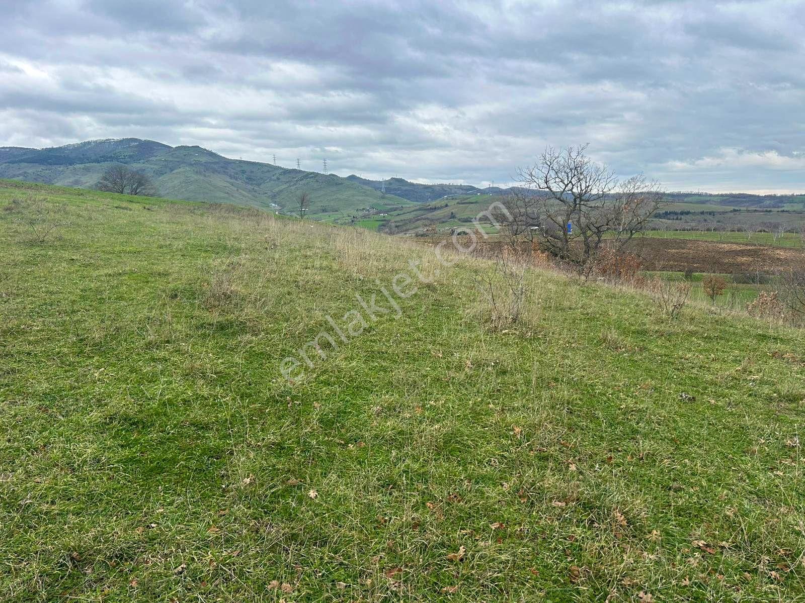 Karamürsel Kızderbent Yatırıma Uygun 3099 M2 %5 İmarlı Satılık Tarla - Görsel 5