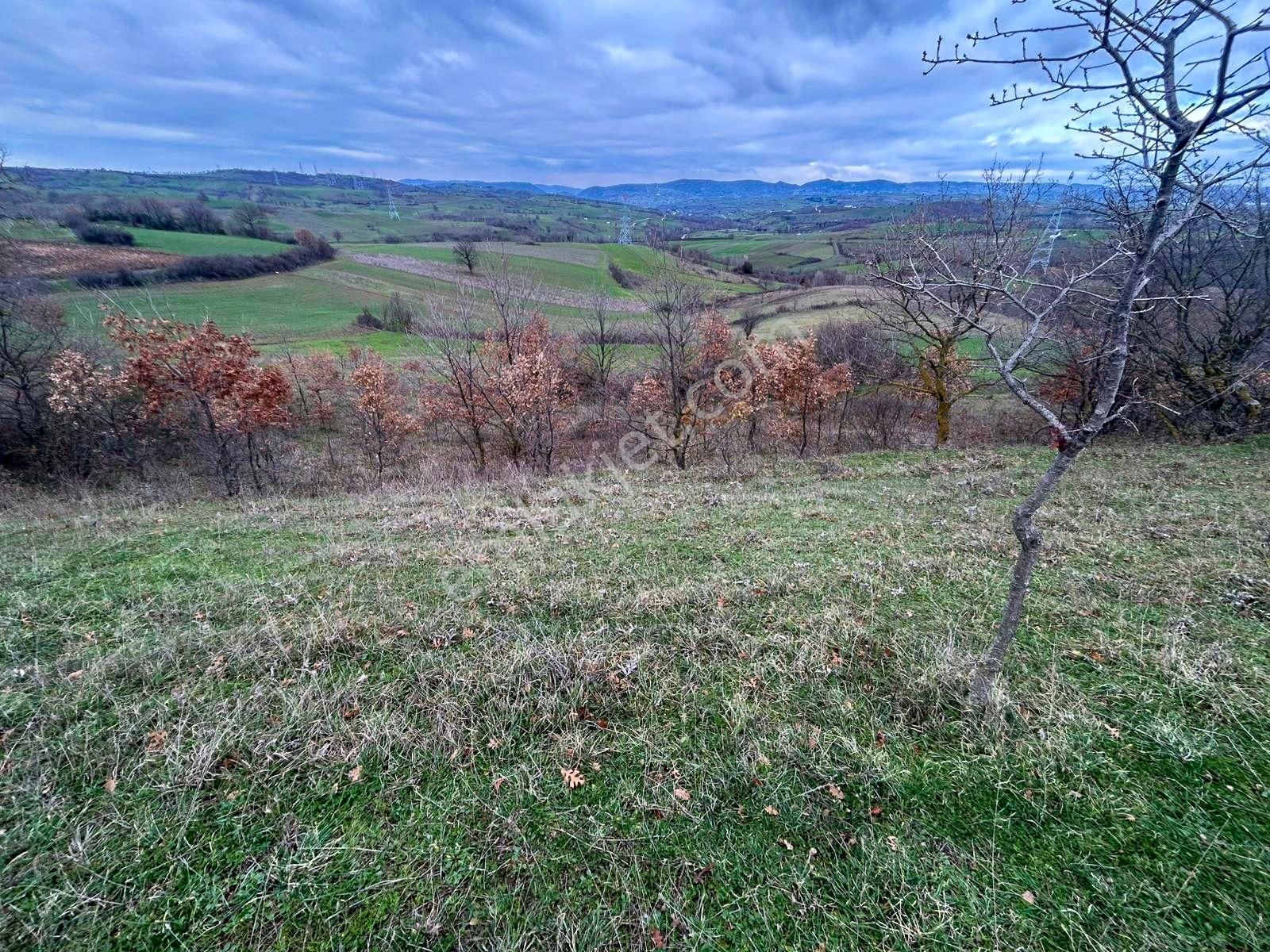 Karamürsel Kızderbent Yatırıma Uygun 3099 M2 %5 İmarlı Satılık Tarla - Görsel 8