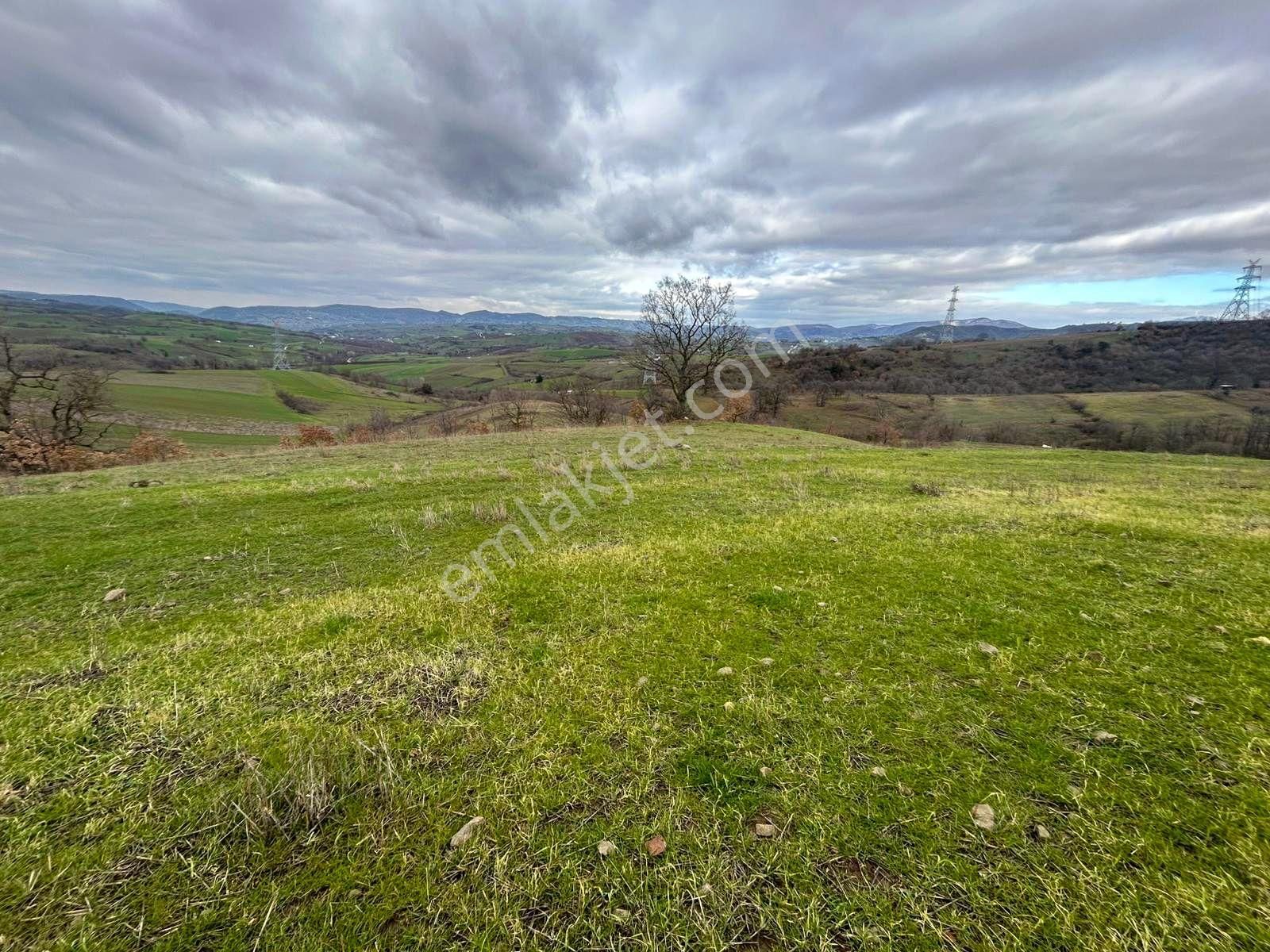 Karamürsel Kızderbent Yatırıma Uygun 3099 M2 %5 İmarlı Satılık Tarla