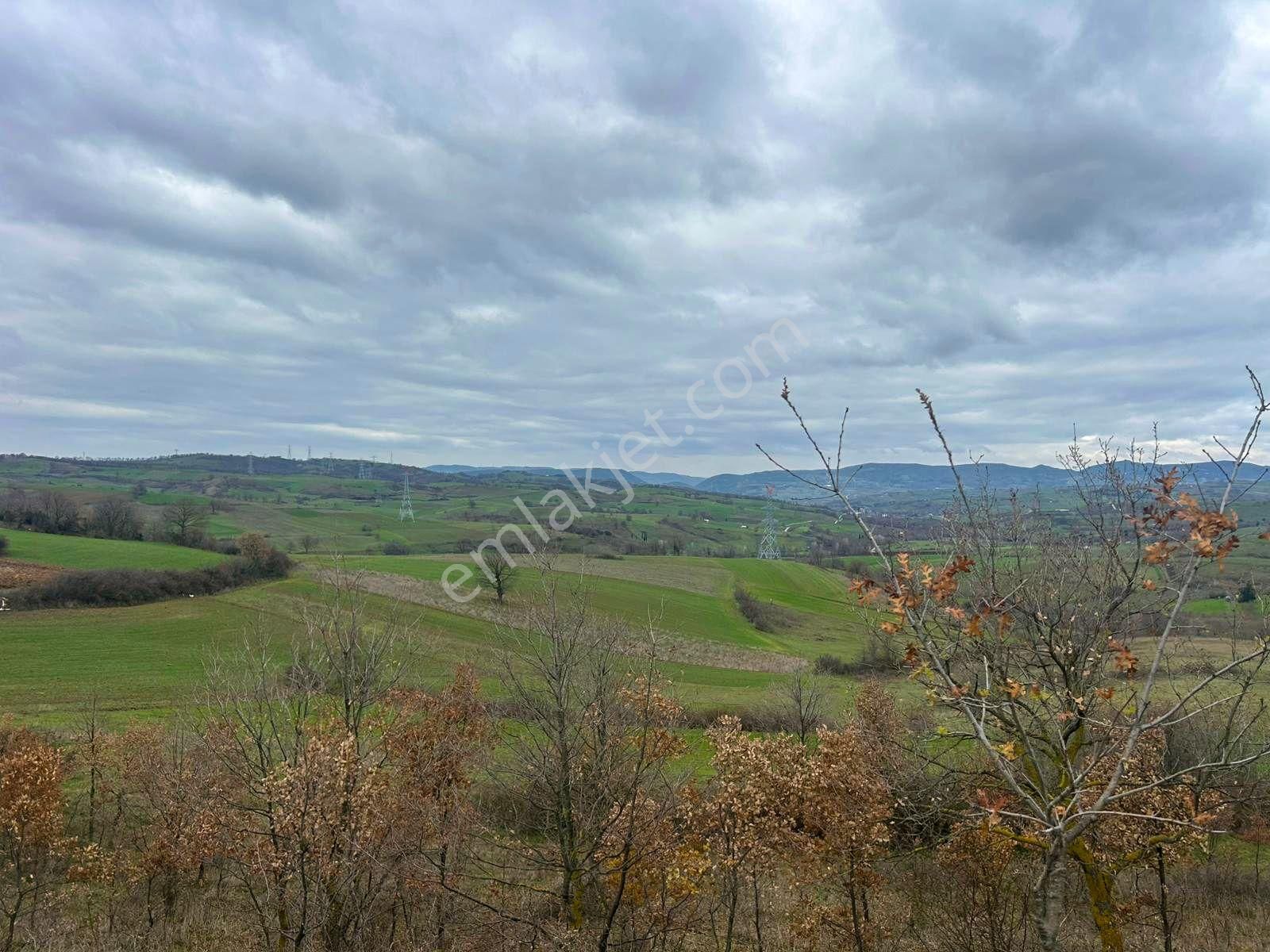 Karamürsel Kızderbent Yatırıma Uygun 3099 M2 %5 İmarlı Satılık Tarla - Görsel 2