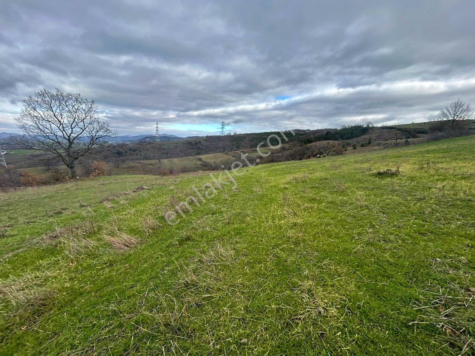 Karamürsel Kızderbent Yatırıma Uygun 3099 M2 %5 İmarlı Satılık Tarla - Görsel 9