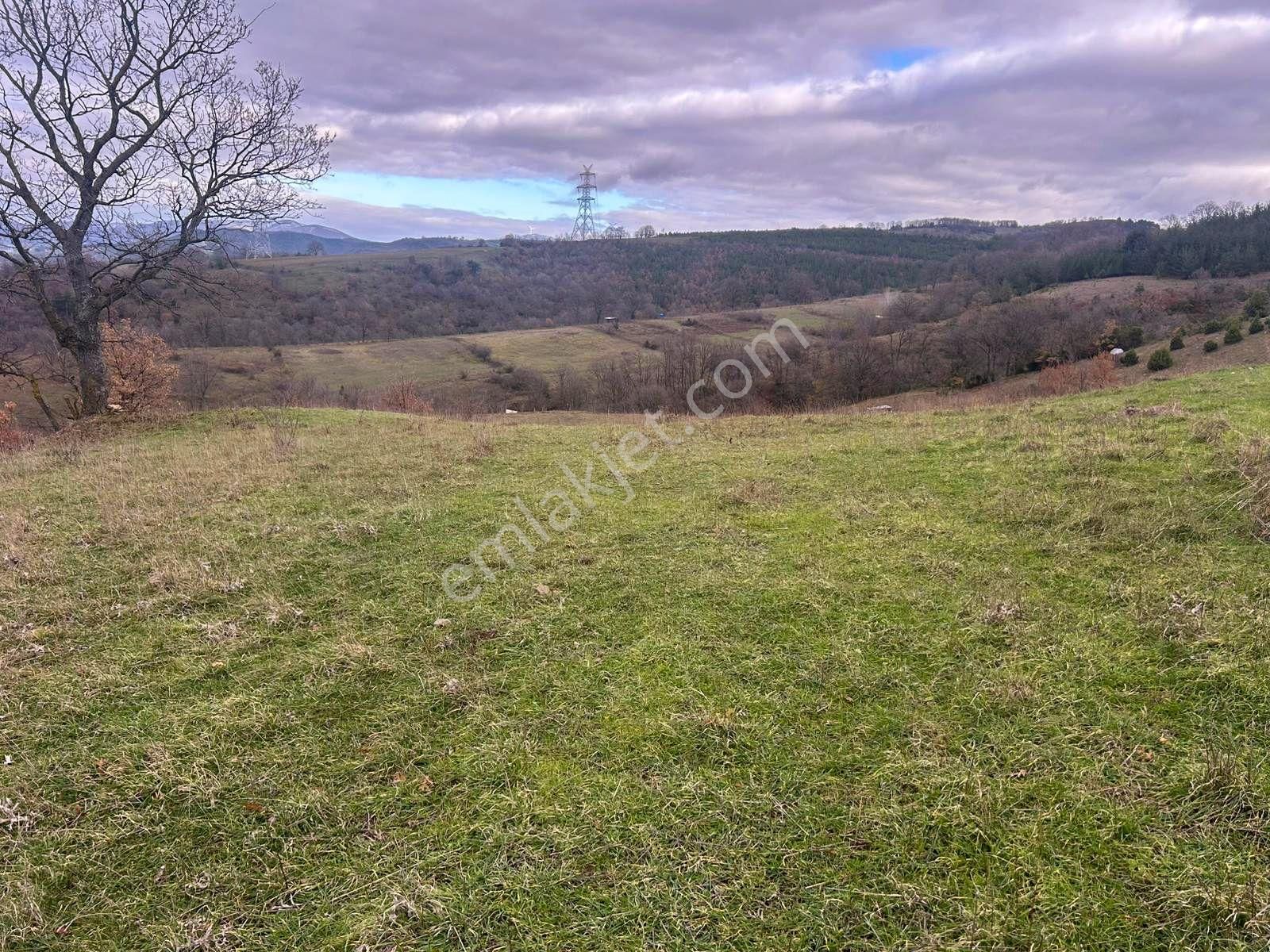 Karamürsel Kızderbent Yatırıma Uygun 3099 M2 %5 İmarlı Satılık Tarla - Görsel 6