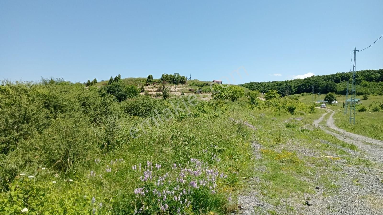 Şile Ağva Da Mükemmel Konum Da Yatırım Fırsatı - Görsel 2