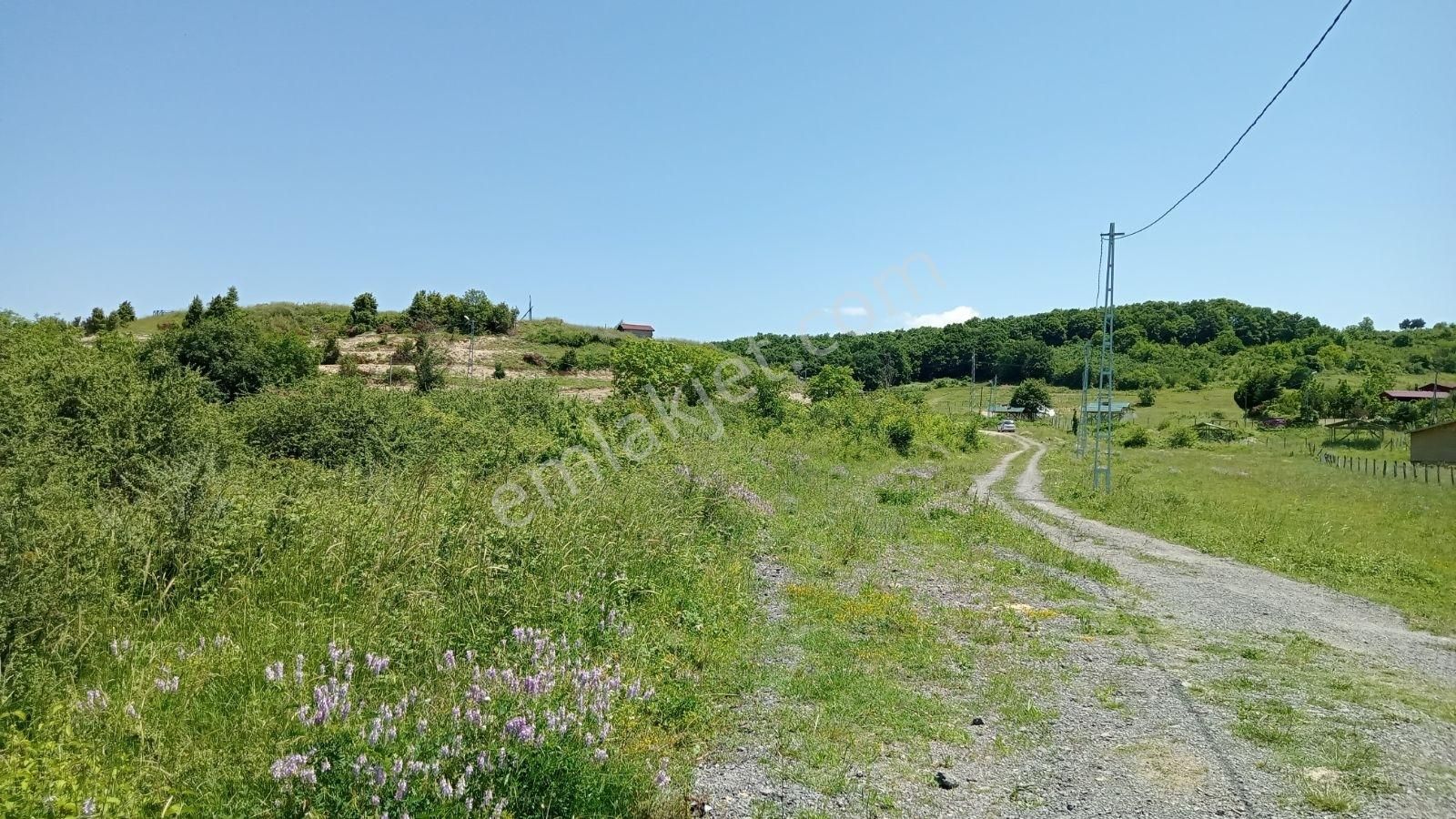Şile Ağva Da Mükemmel Konum Da Yatırım Fırsatı - Görsel 5