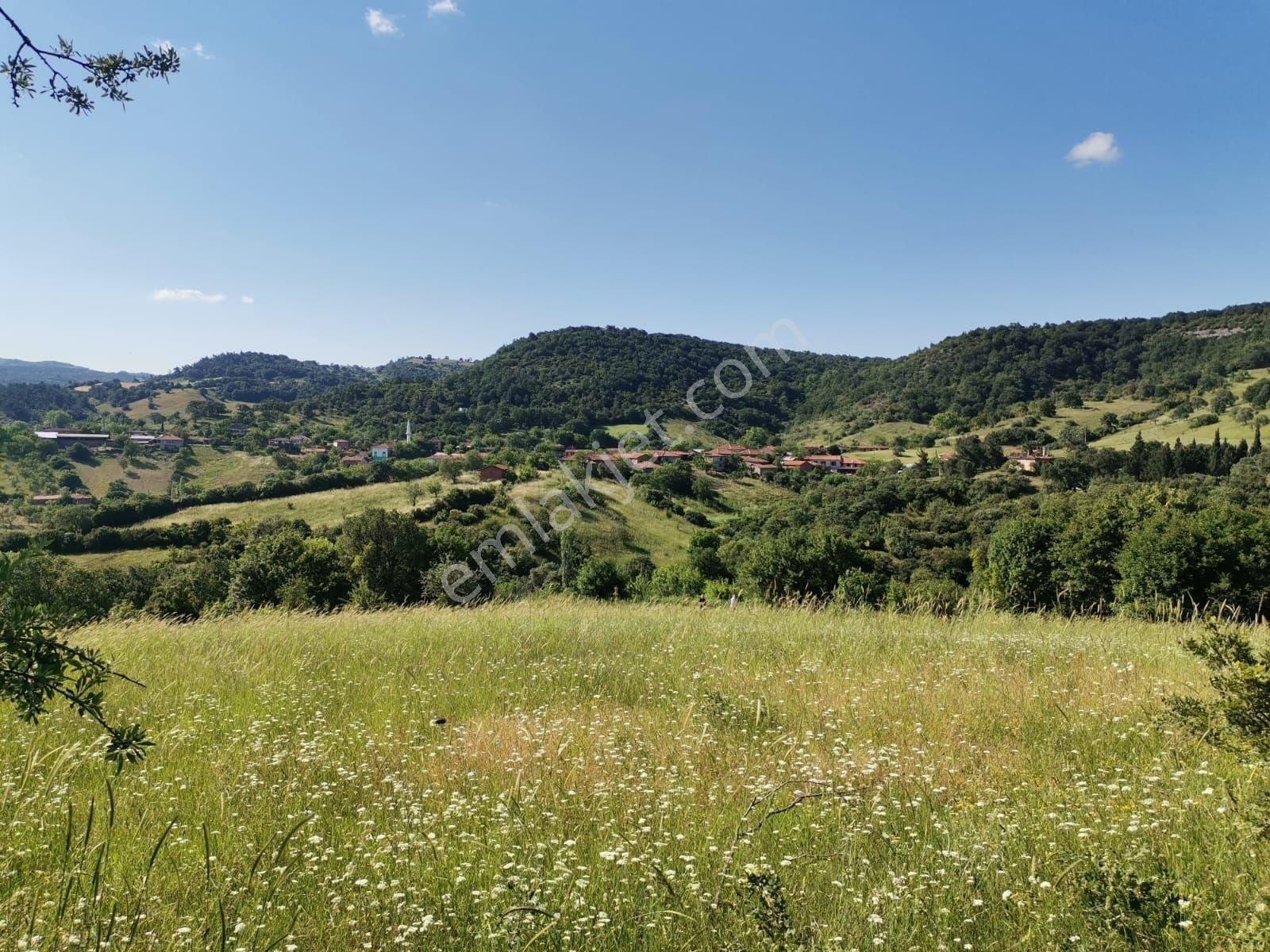 Hallaçlı Köy Merkezinde Fırsat 1250 M - Görsel 5