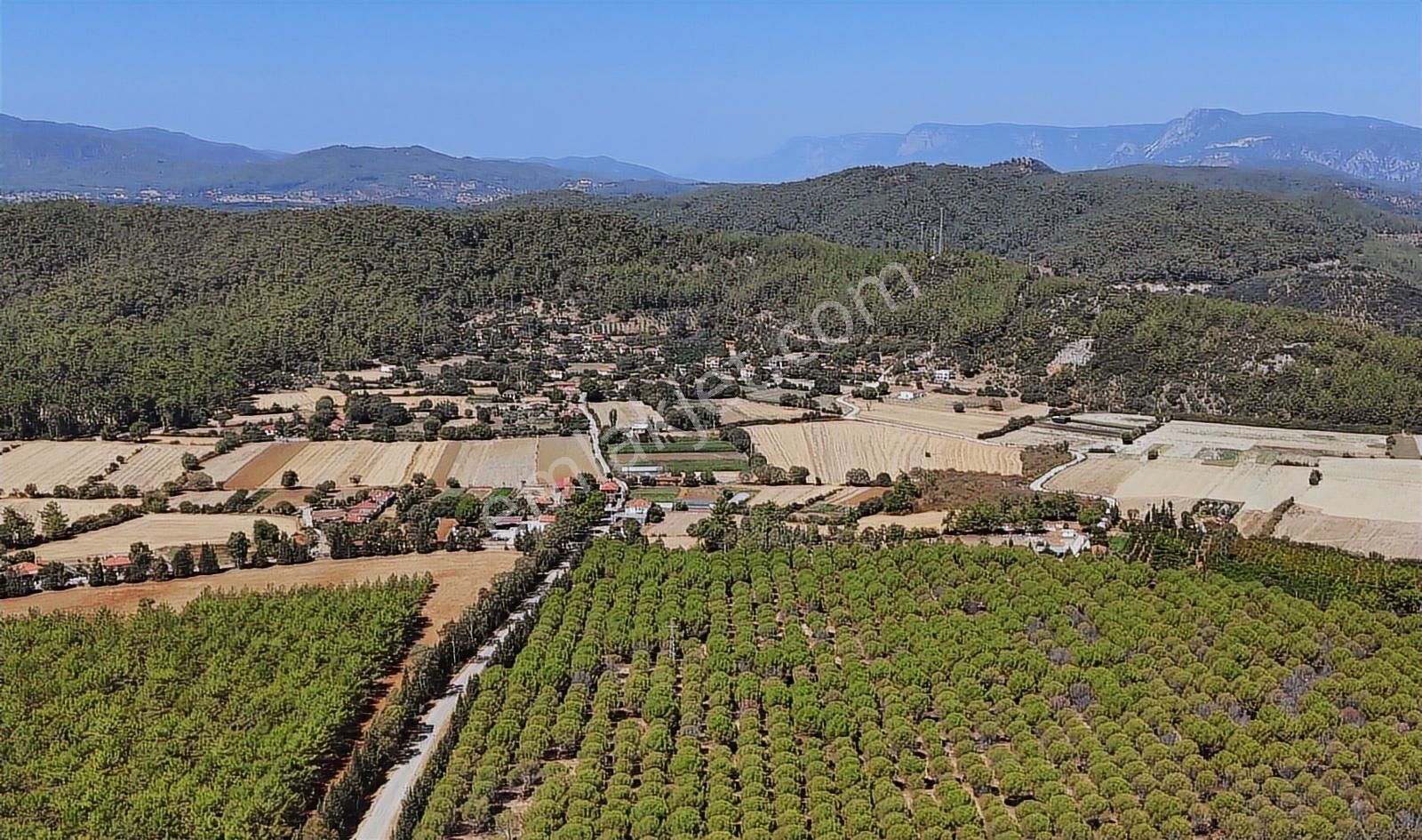 Akyaka Köyceğiz Arası 1705 M² Tarla - Görsel 6