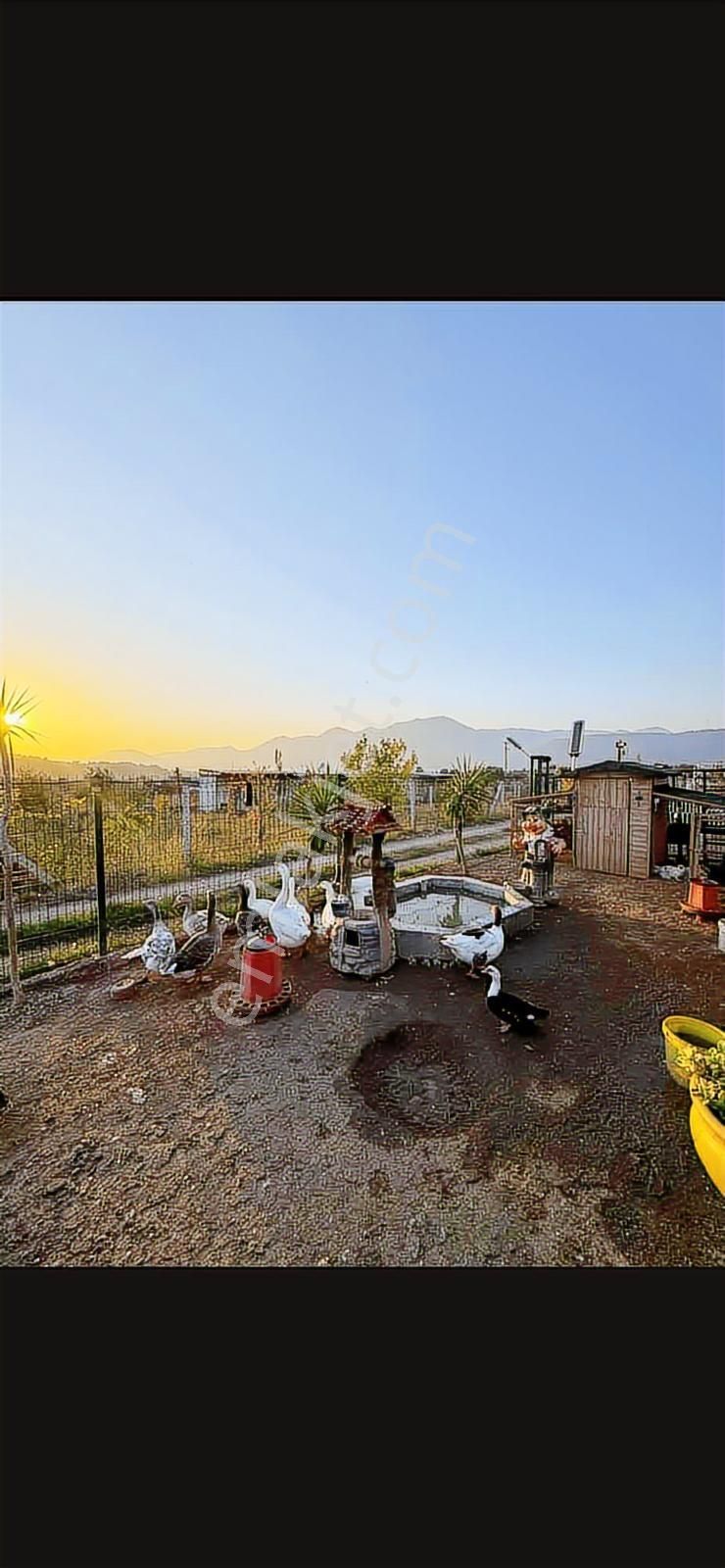 Huzurlu Bir Yaşam - Görsel 28