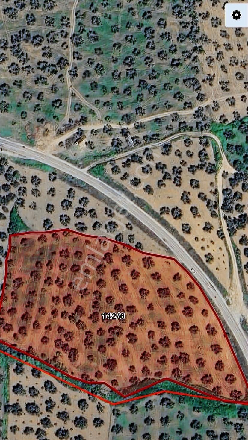 Borsem'den Gömeç Keremköy Kozak Yolu Üzeri 17.400 M2 Zeytinlik - Görsel 2