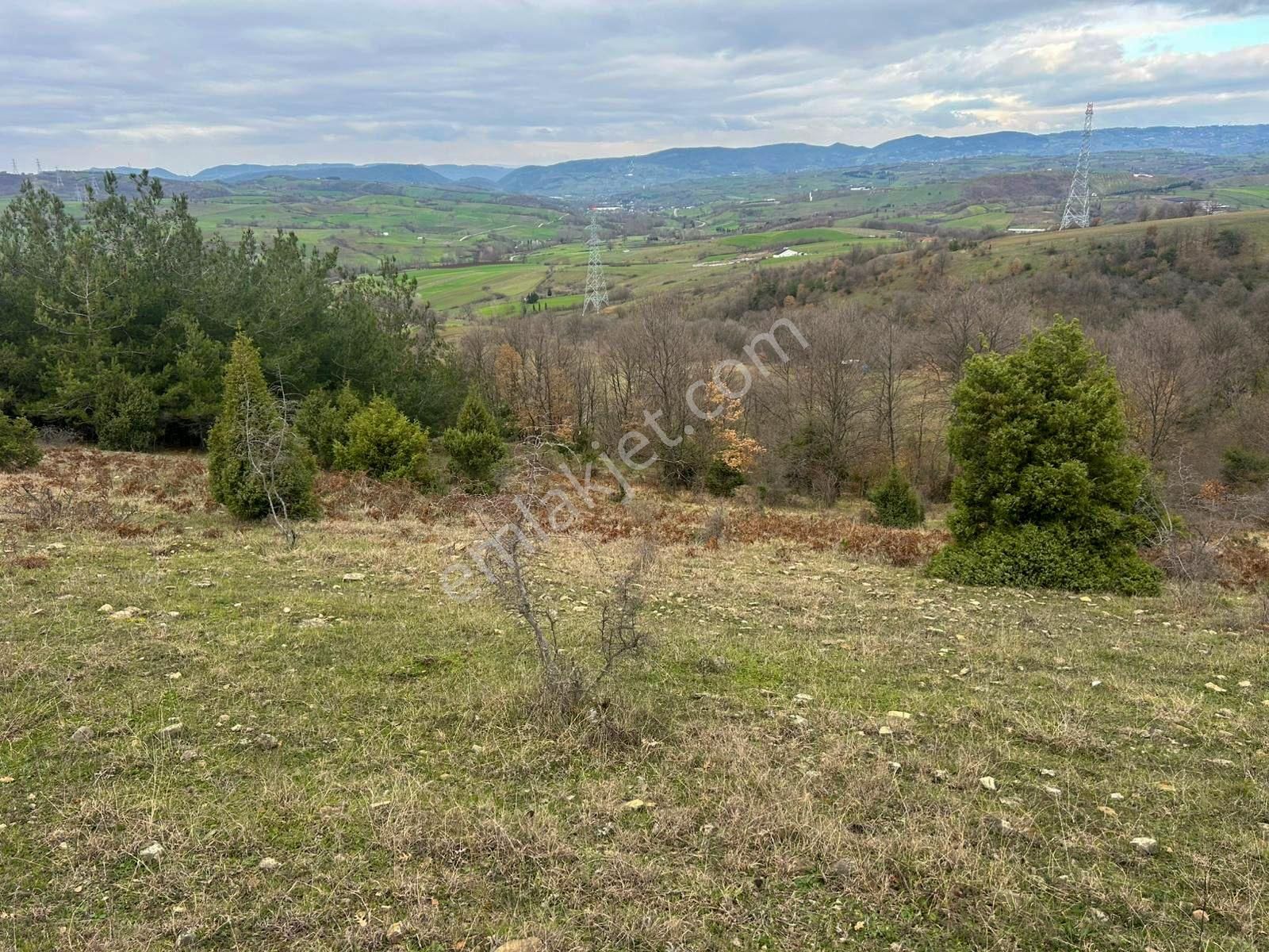 Karamürsel Kızderbent Satılık 3.817 M2 Fırsat Tarla - Görsel 7