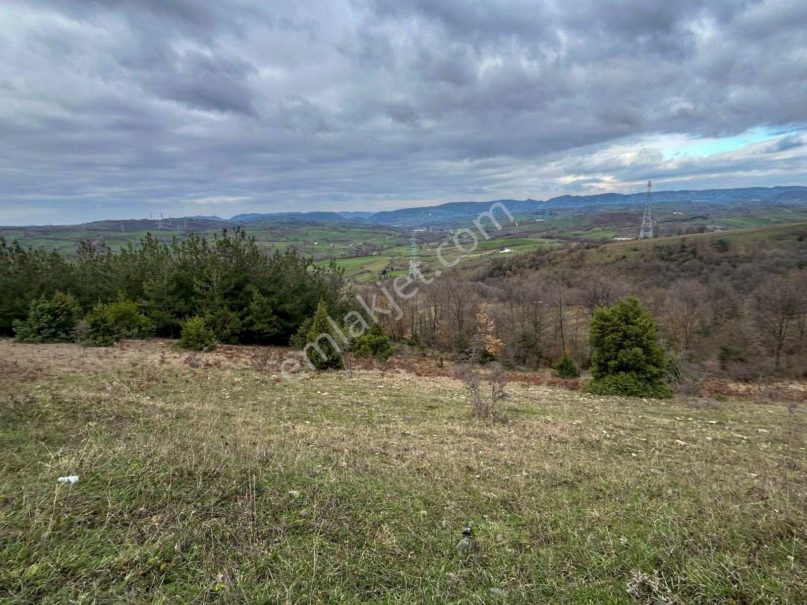 Karamürsel Kızderbent Satılık 3.817 M2 Fırsat Tarla - Görsel 3