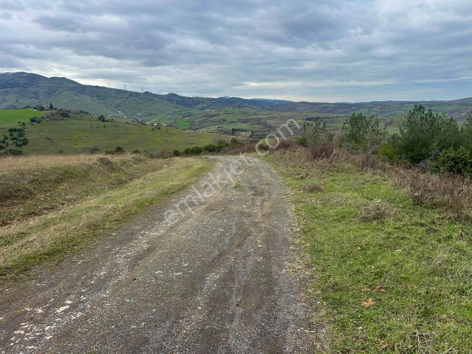 Karamürsel Kızderbent Satılık 3.817 M2 Fırsat Tarla - Görsel 2