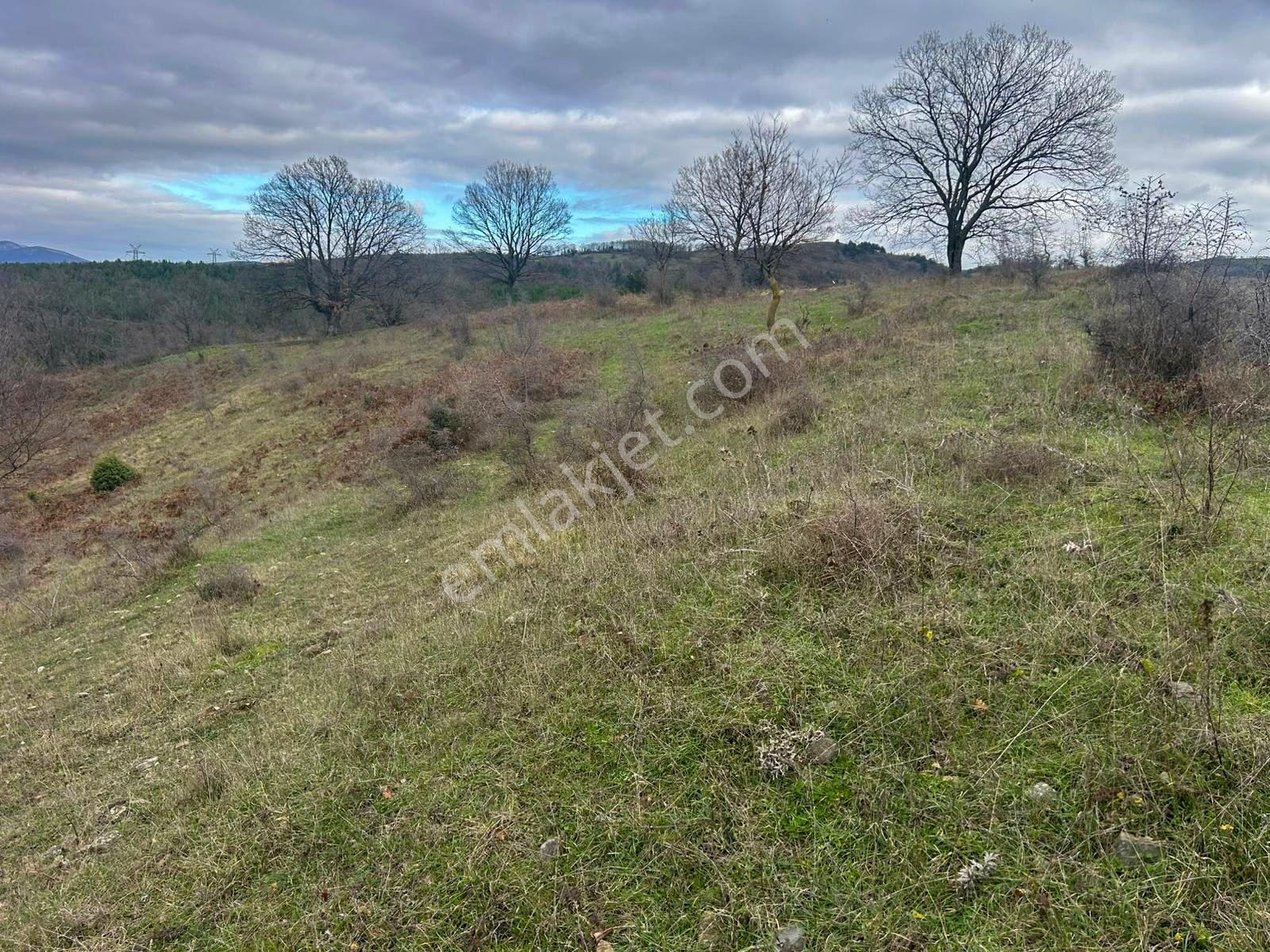 Karamürsel Kızderbent Satılık 3.817 M2 Fırsat Tarla