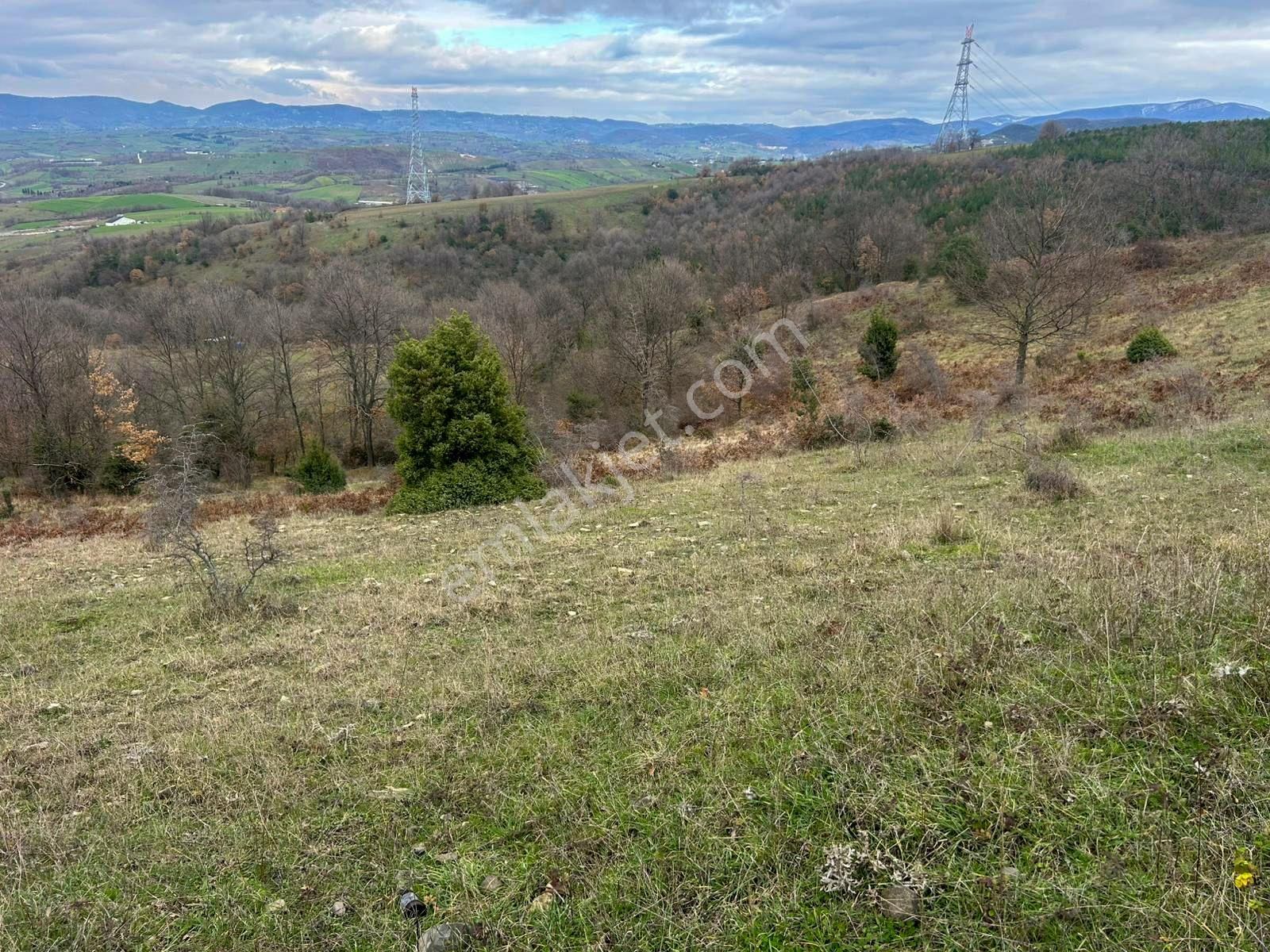 Karamürsel Kızderbent Satılık 3.817 M2 Fırsat Tarla - Görsel 12