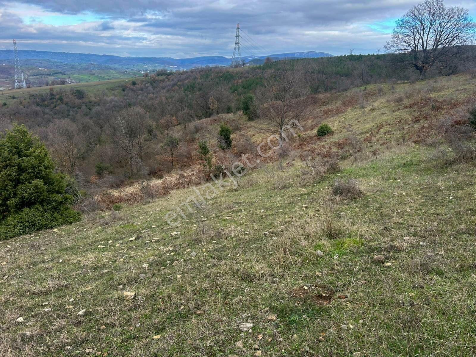 Karamürsel Kızderbent Satılık 3.817 M2 Fırsat Tarla - Görsel 10