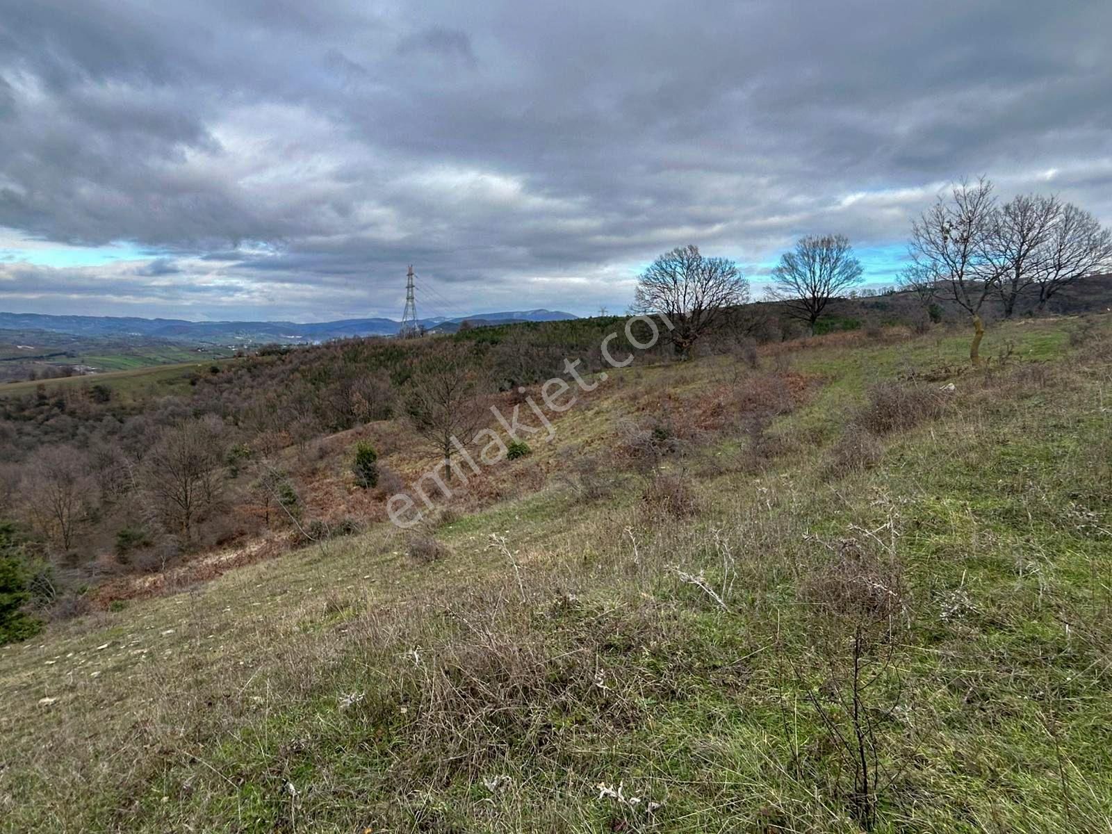 Karamürsel Kızderbent Satılık 3.817 M2 Fırsat Tarla - Görsel 8