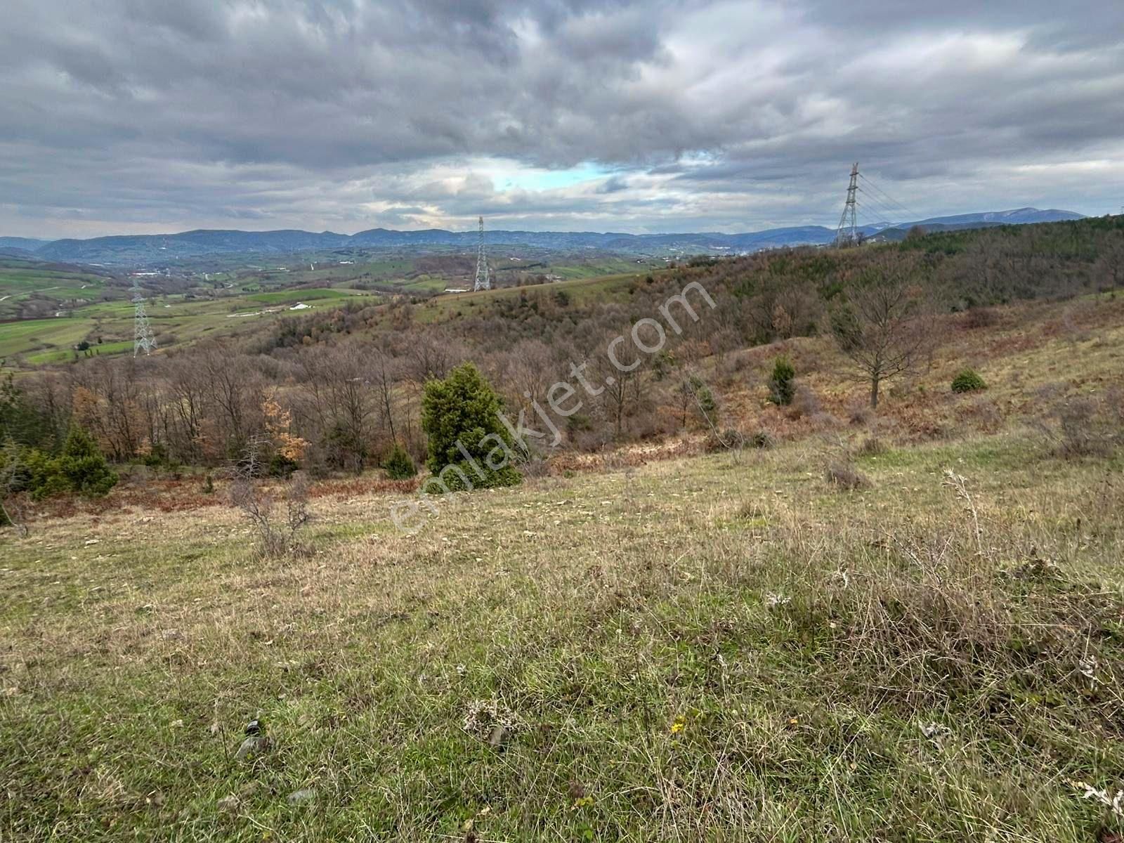 Karamürsel Kızderbent Satılık 3.817 M2 Fırsat Tarla - Görsel 5