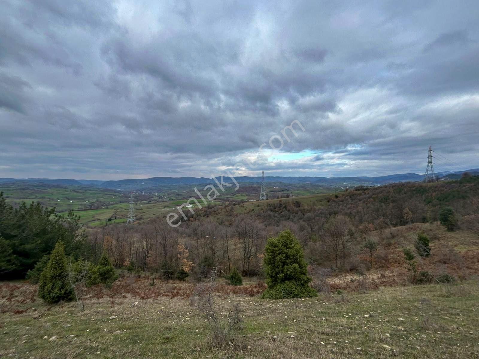 Karamürsel Kızderbent Satılık 3.817 M2 Fırsat Tarla - Görsel 6