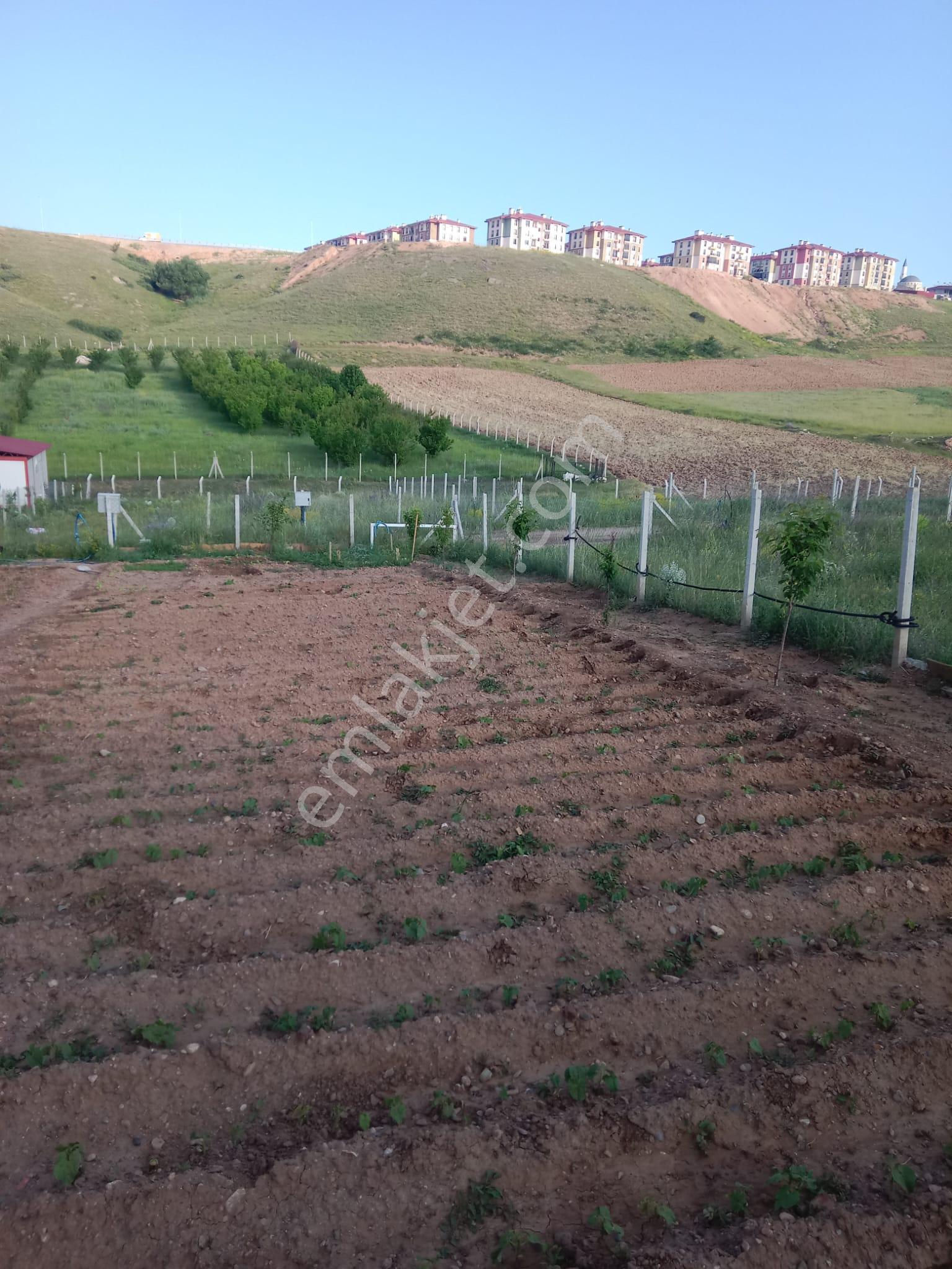 Kurt Deresi Arkası Satılık Hobi Bahçesi