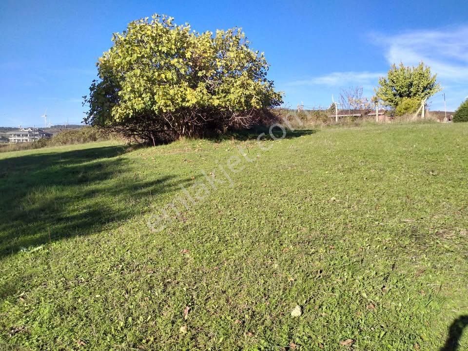 Sahibinden İstanbul Çatalca’da Müstakil Tek Tapu Tarla - Görsel 6