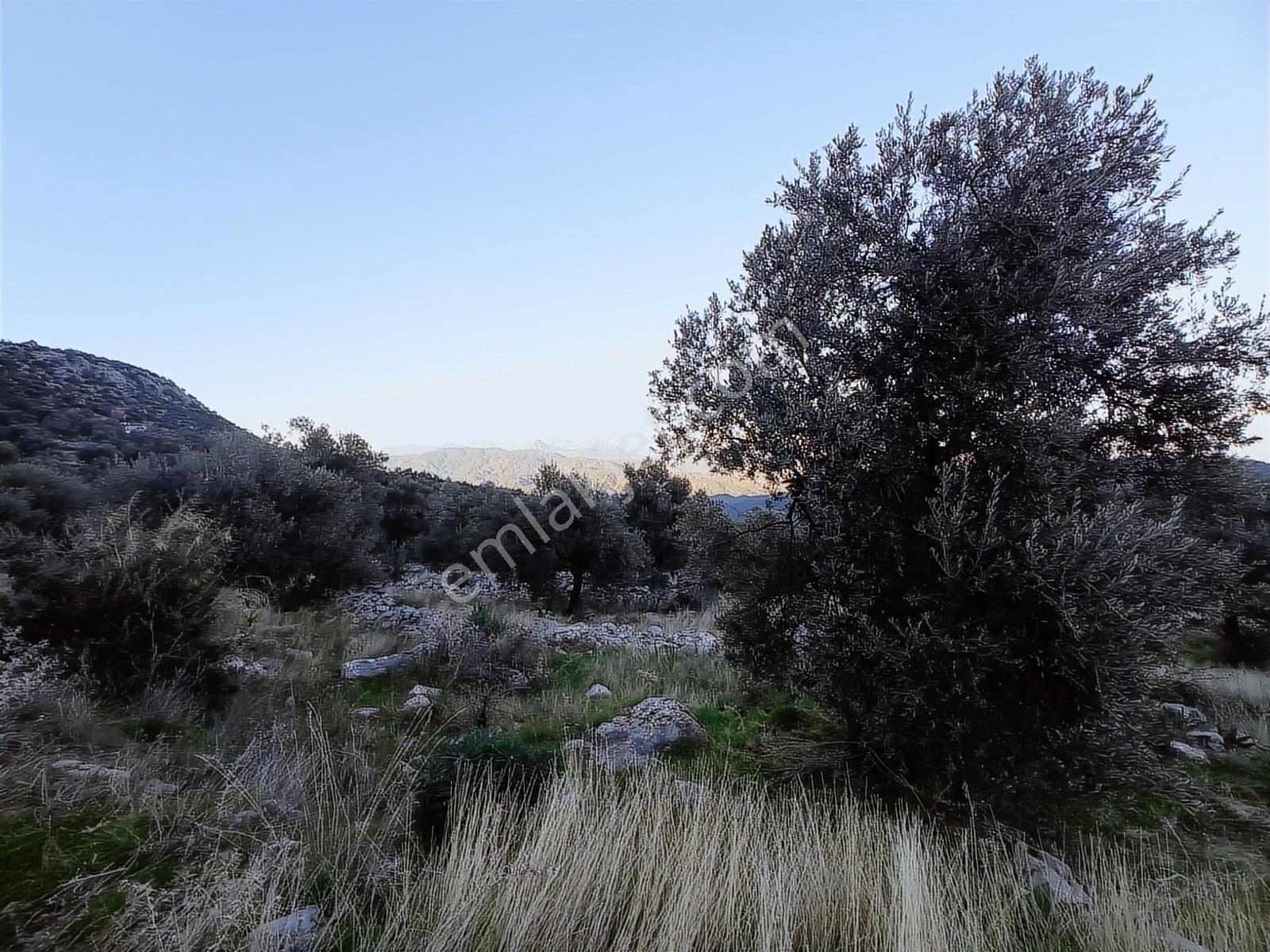Muğla Fethiye Gökbende Satılık Arsa - Görsel 2