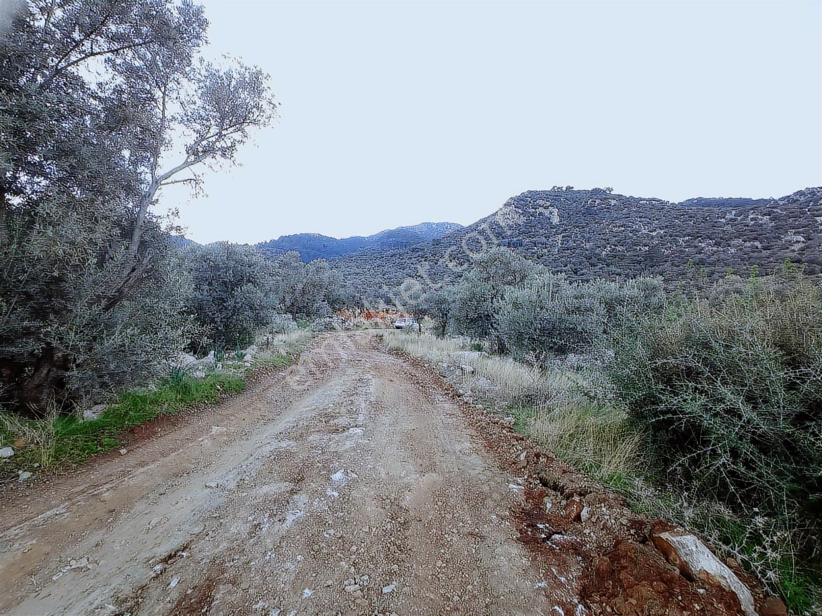 Muğla Fethiye Gökbende Satılık Arsa - Görsel 11