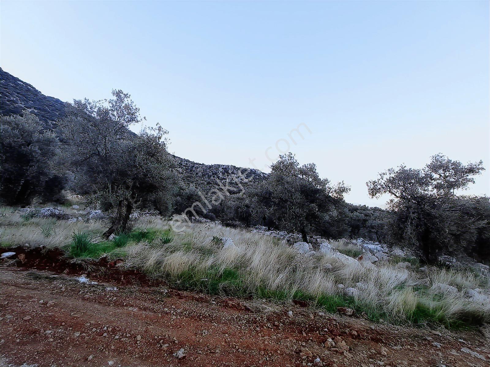 Muğla Fethiye Gökbende Satılık Arsa - Görsel 3