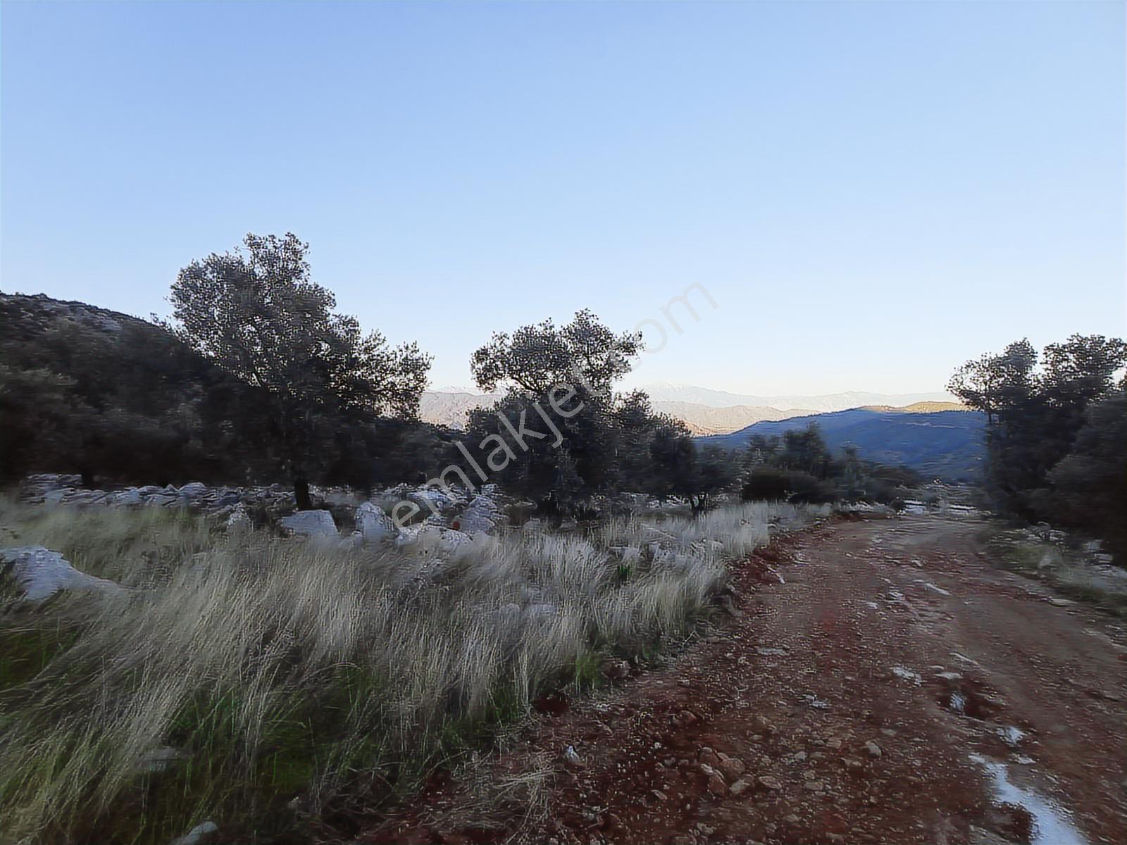 Muğla Fethiye Gökbende Satılık Arsa - Görsel 7