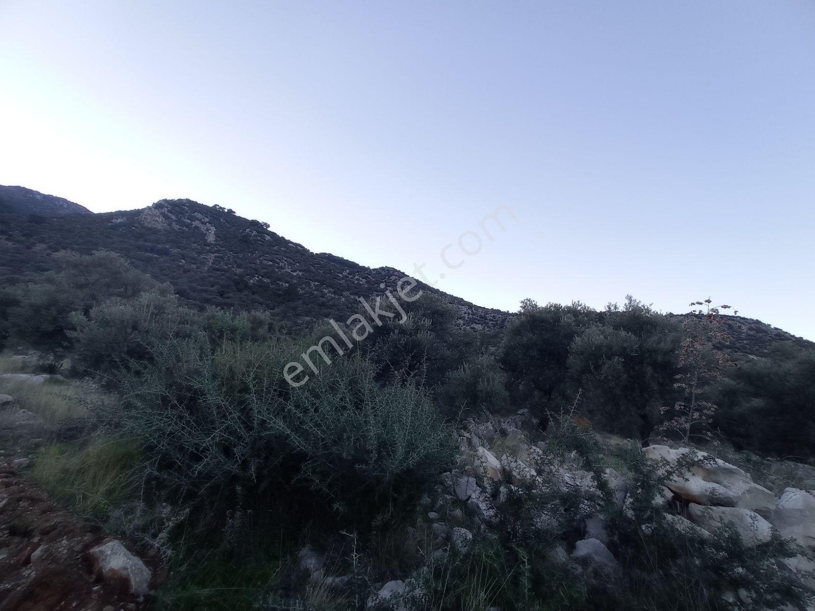 Muğla Fethiye Gökbende Satılık Arsa - Görsel 10