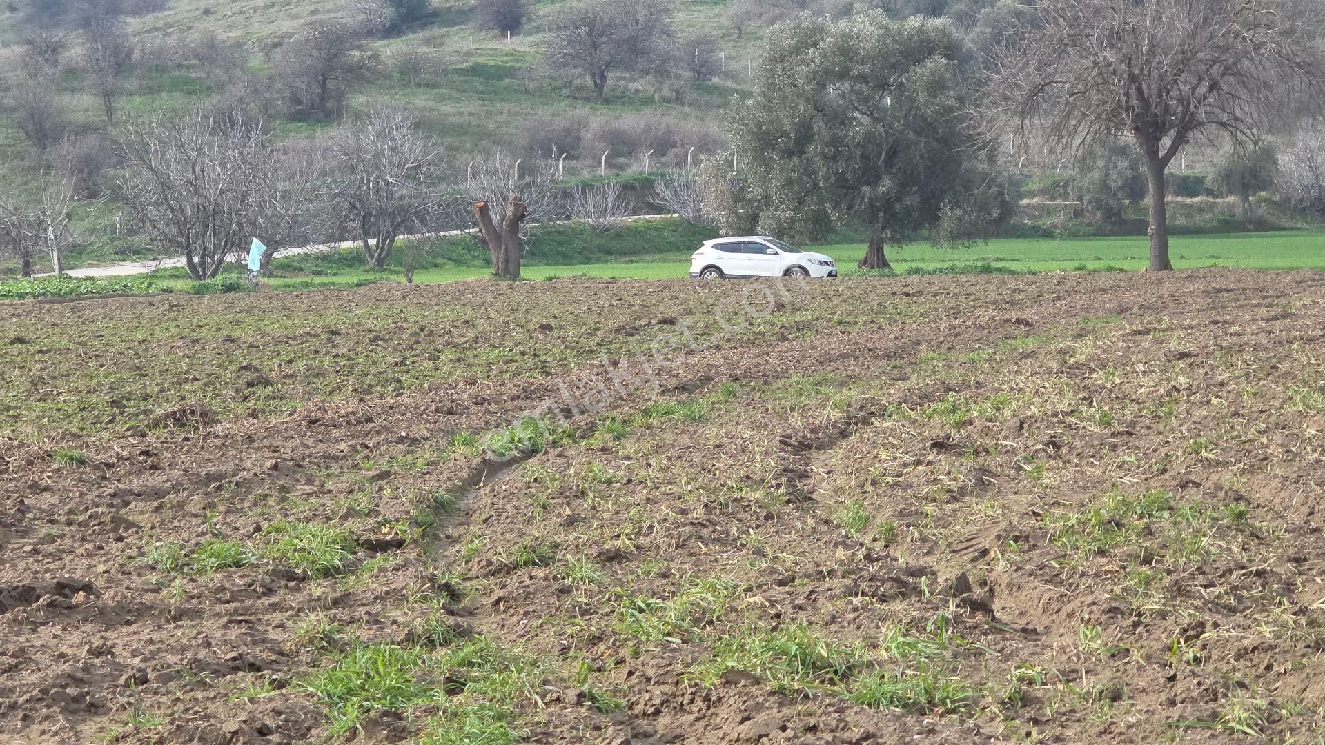 Ali Akdoğan Emlak Ofisinden Satılıktır - Görsel 12