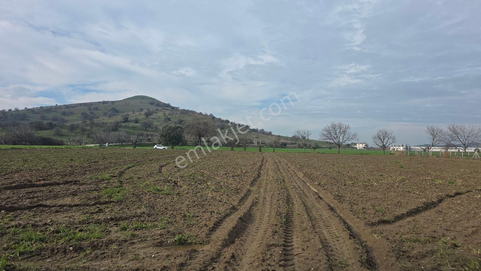 Ali Akdoğan Emlak Ofisinden Satılıktır - Görsel 10