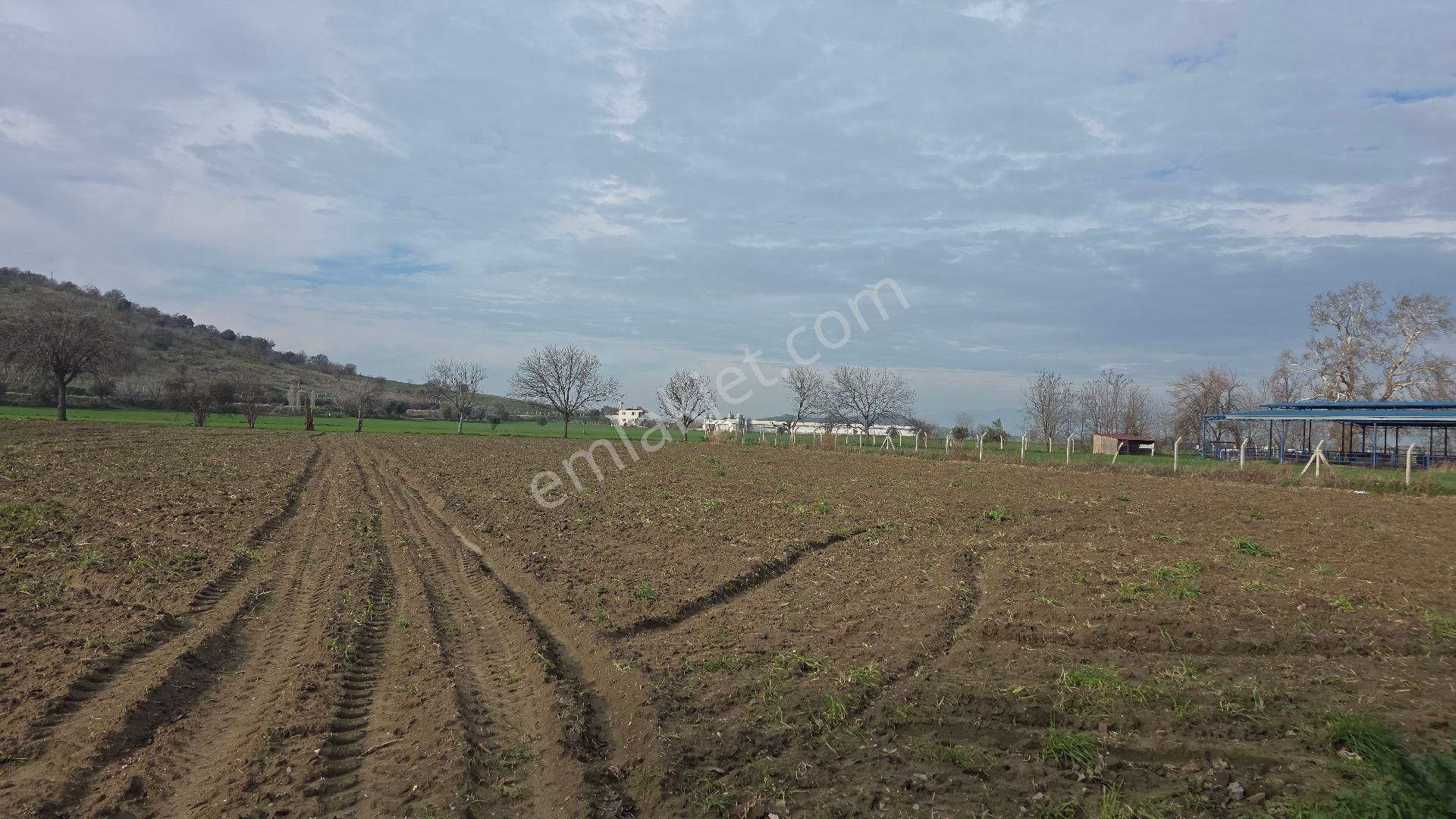 Ali Akdoğan Emlak Ofisinden Satılıktır - Görsel 11