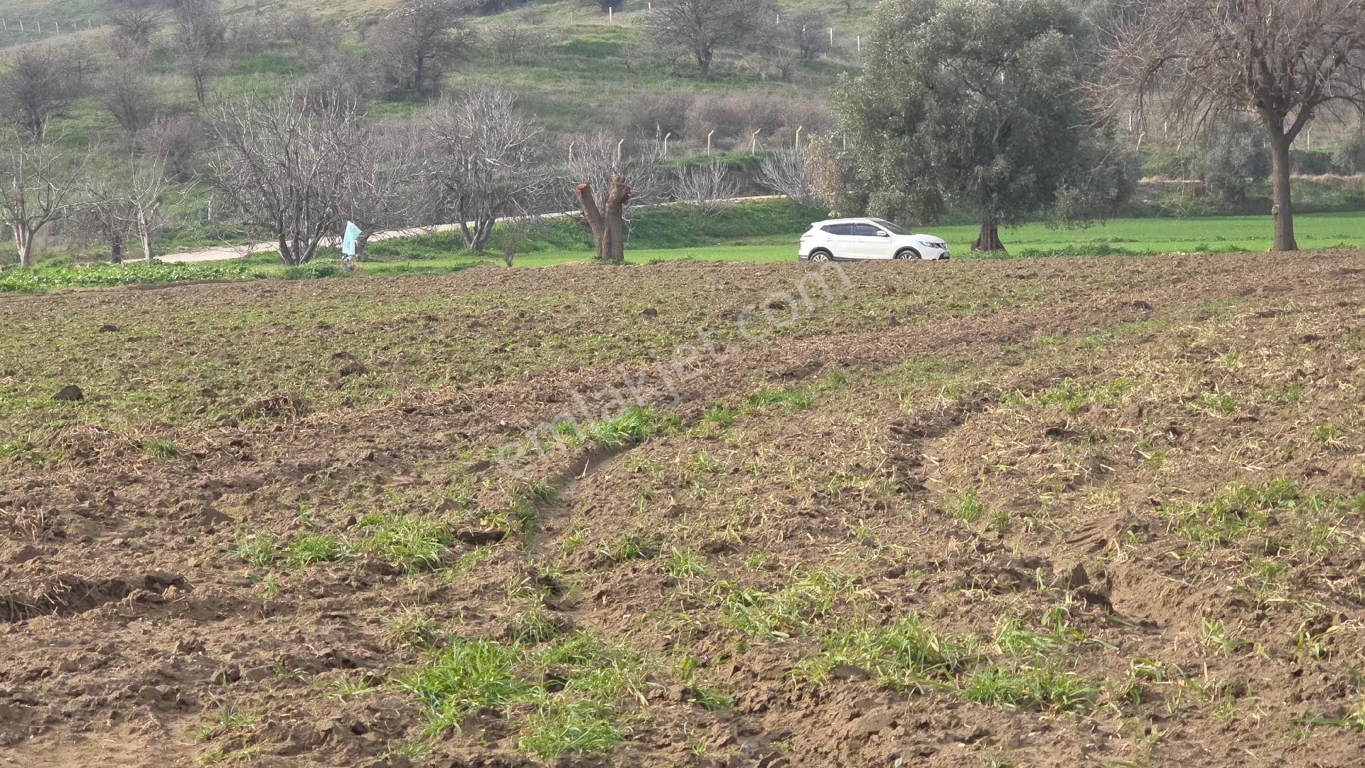 Ali Akdoğan Emlak Ofisinden Satılıktır - Görsel 15