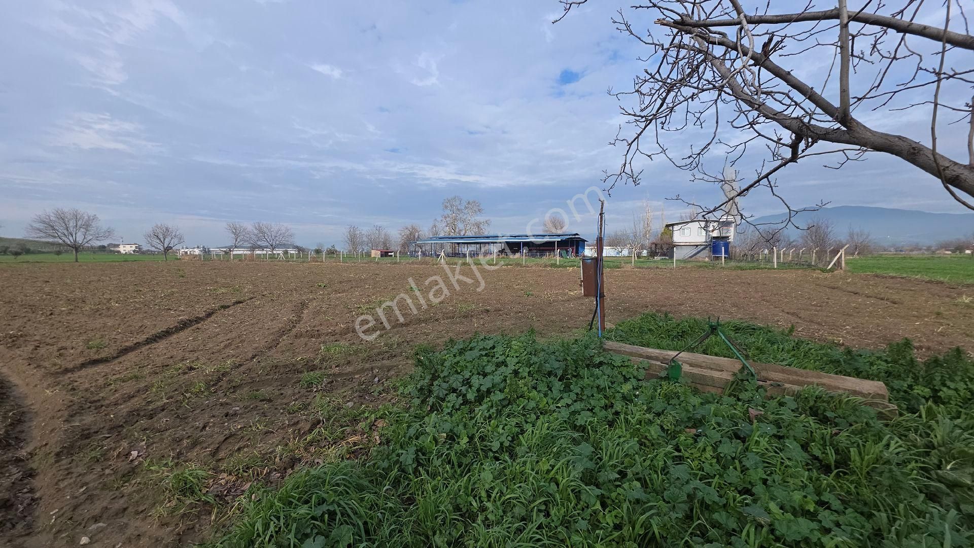 Ali Akdoğan Emlak Ofisinden Satılıktır - Görsel 7