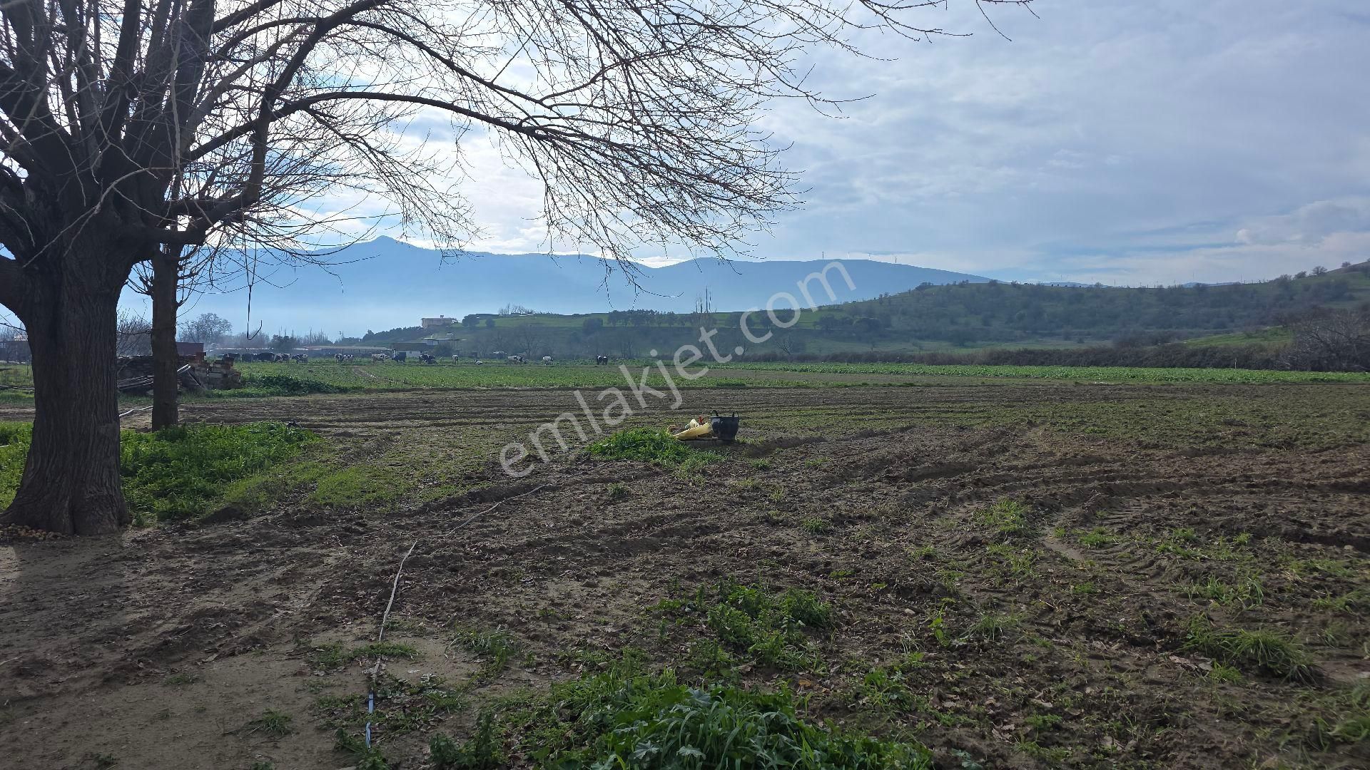 Ali Akdoğan Emlak Ofisinden Satılıktır - Görsel 8